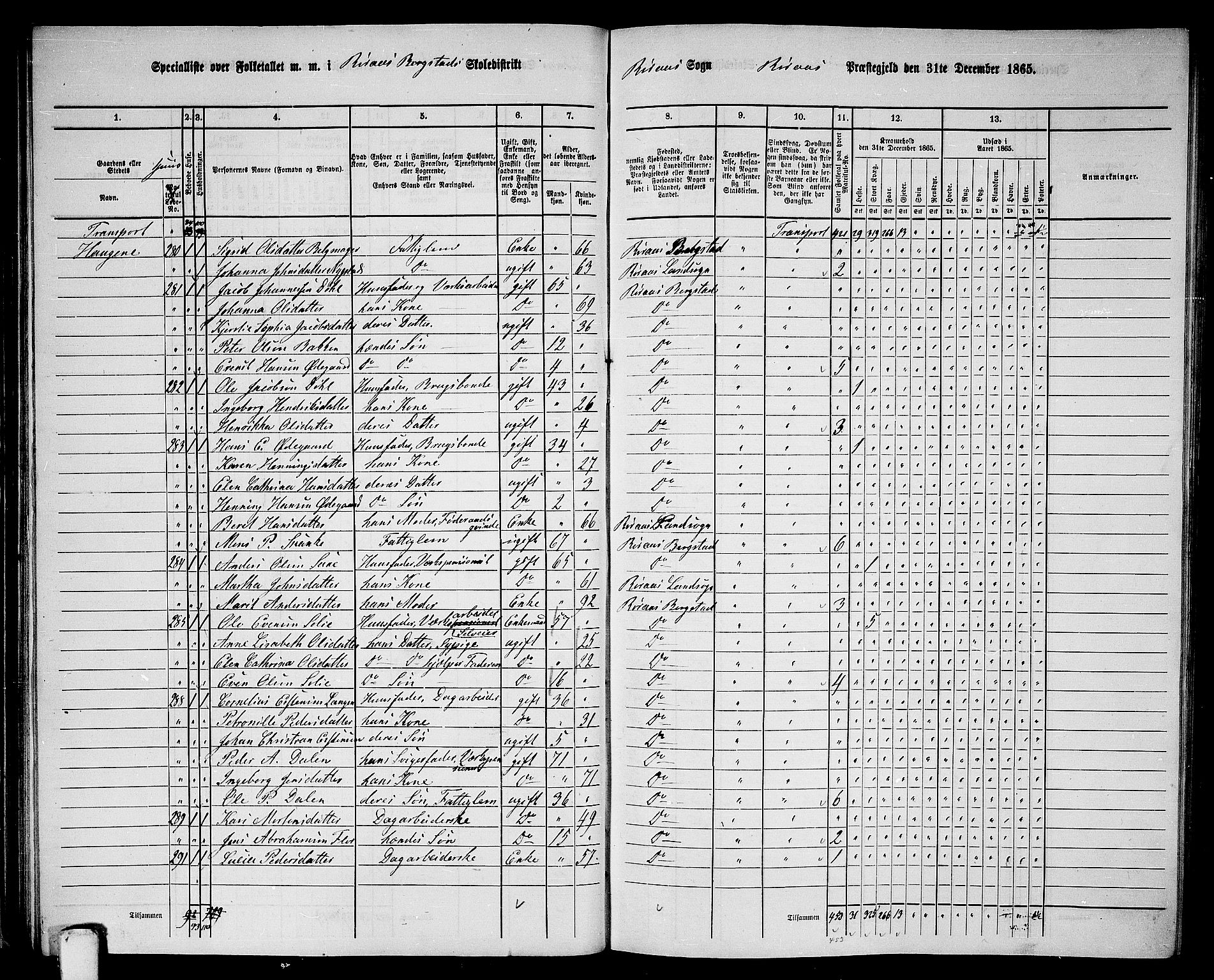 RA, 1865 census for Røros, 1865, p. 49