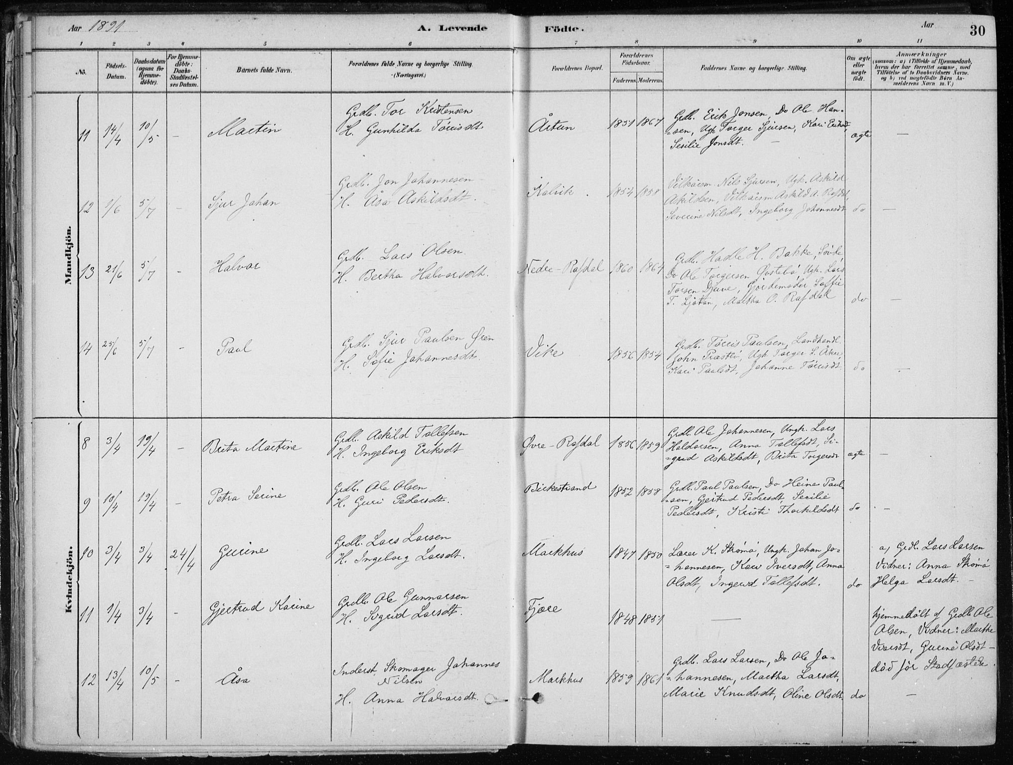 Skånevik sokneprestembete, AV/SAB-A-77801/H/Haa: Parish register (official) no. E  1, 1879-1901, p. 30