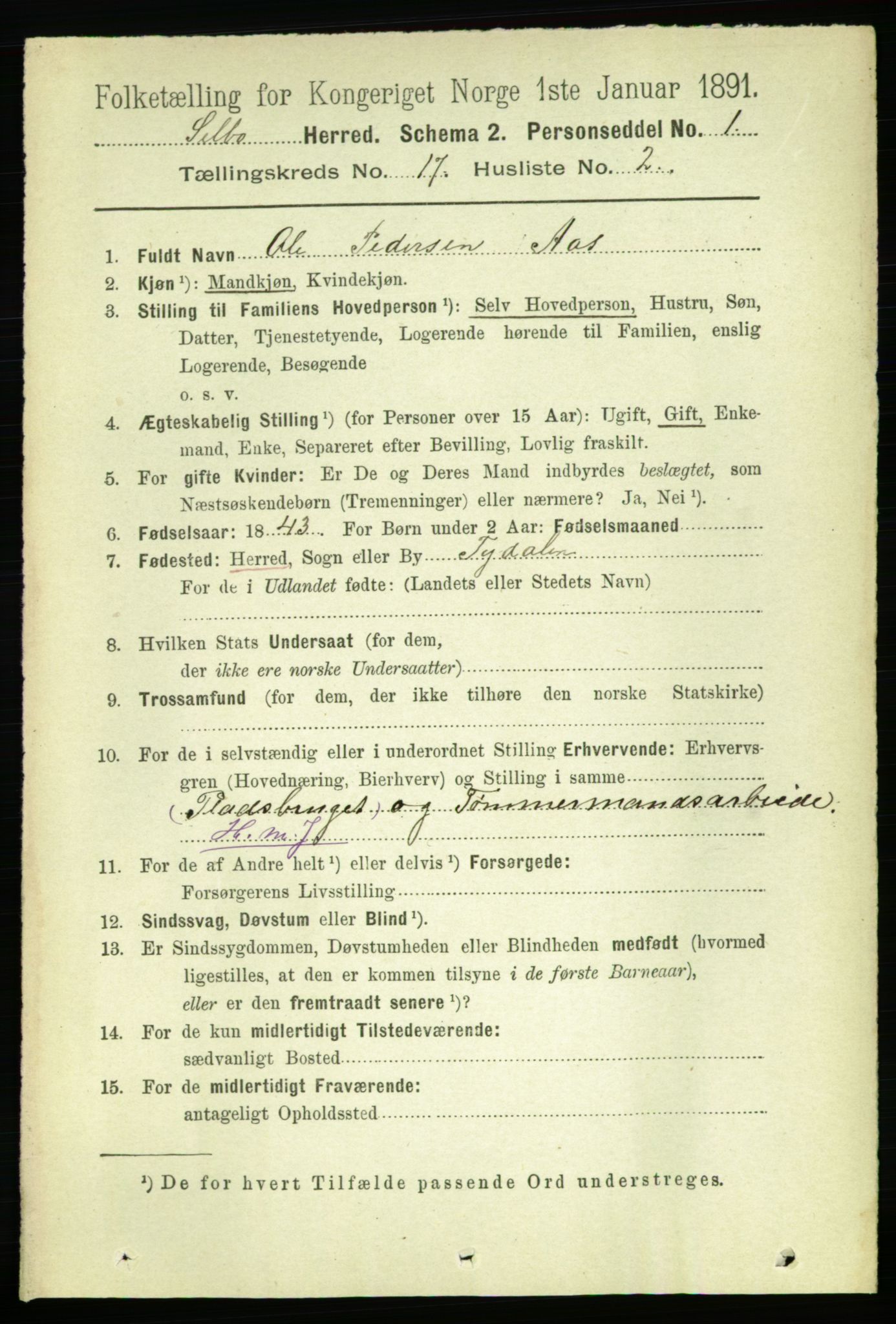 RA, 1891 census for 1664 Selbu, 1891, p. 6065