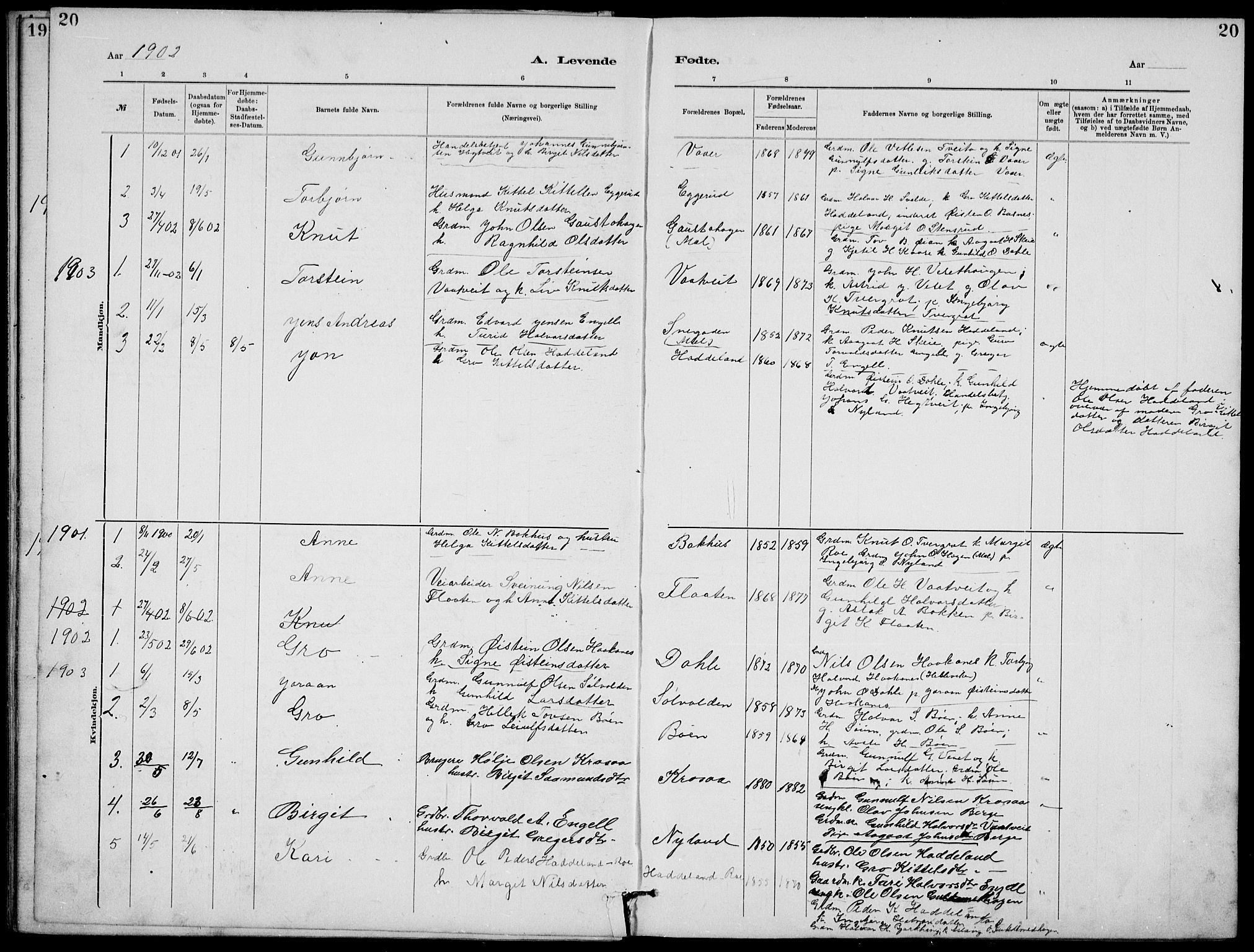 Rjukan kirkebøker, SAKO/A-294/G/Ga/L0001: Parish register (copy) no. 1, 1880-1914, p. 20