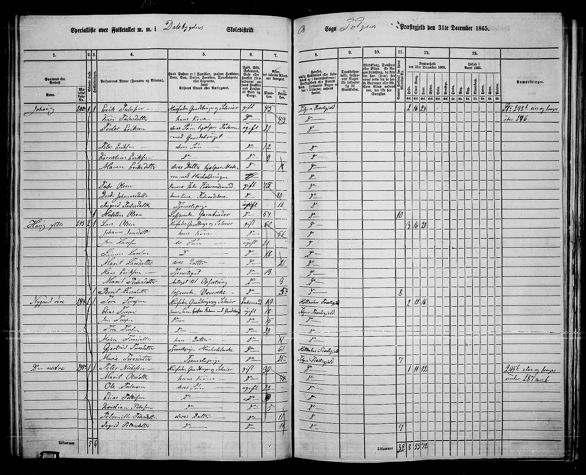 RA, 1865 census for Tolga, 1865, p. 123