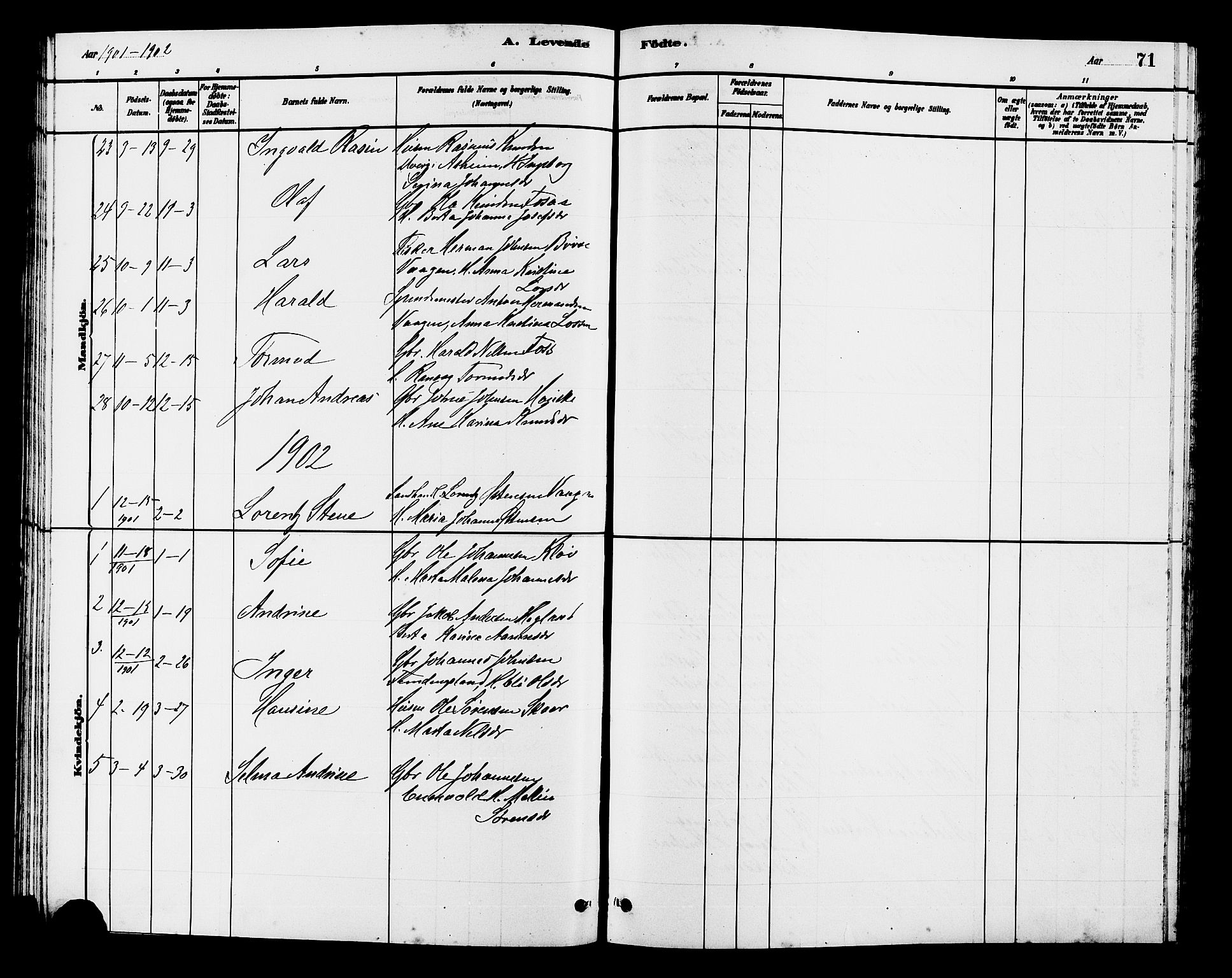 Hjelmeland sokneprestkontor, SAST/A-101843/01/V/L0007: Parish register (copy) no. B 7, 1880-1909, p. 71