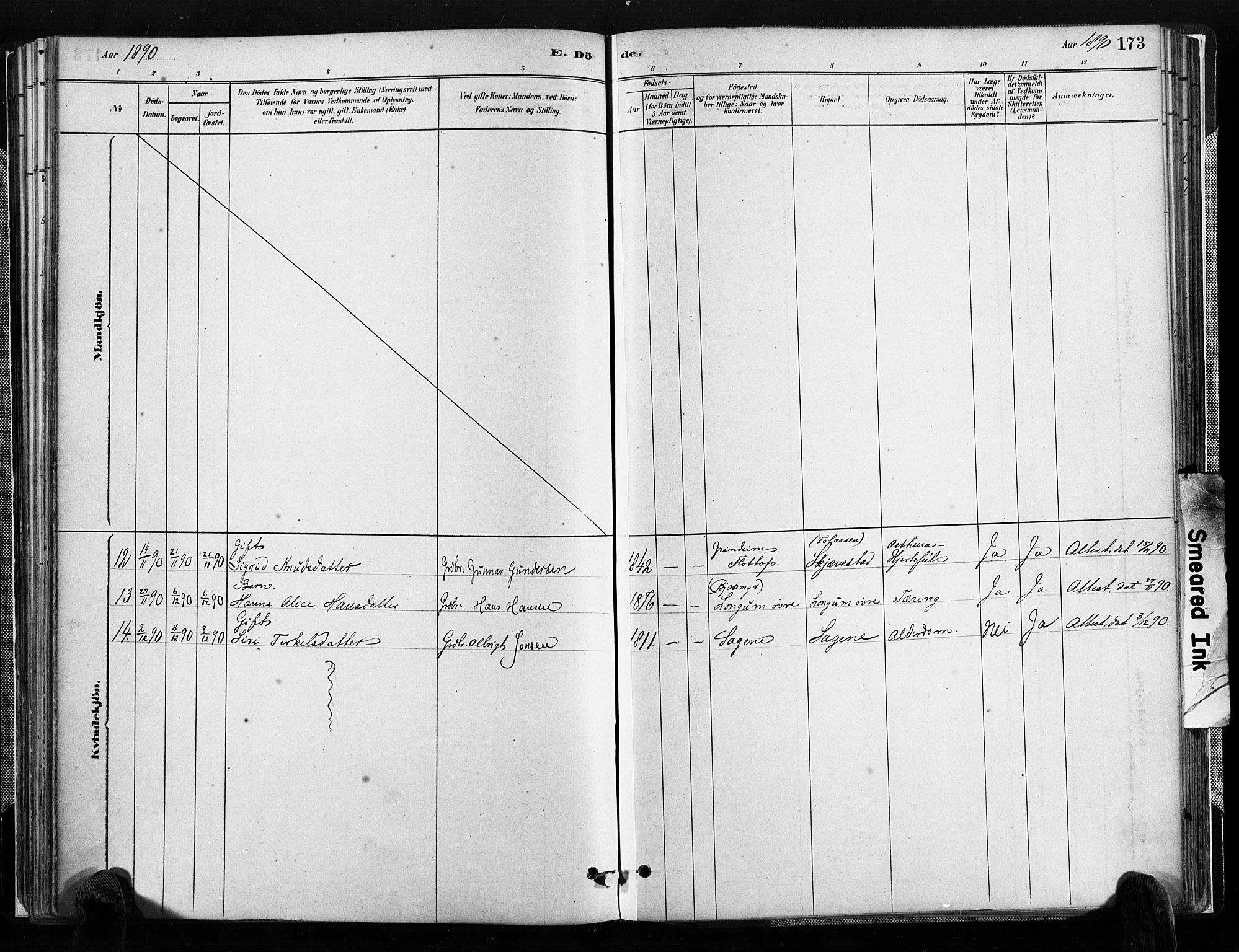 Austre Moland sokneprestkontor, SAK/1111-0001/F/Fa/Faa/L0010: Parish register (official) no. A 10, 1880-1904, p. 173