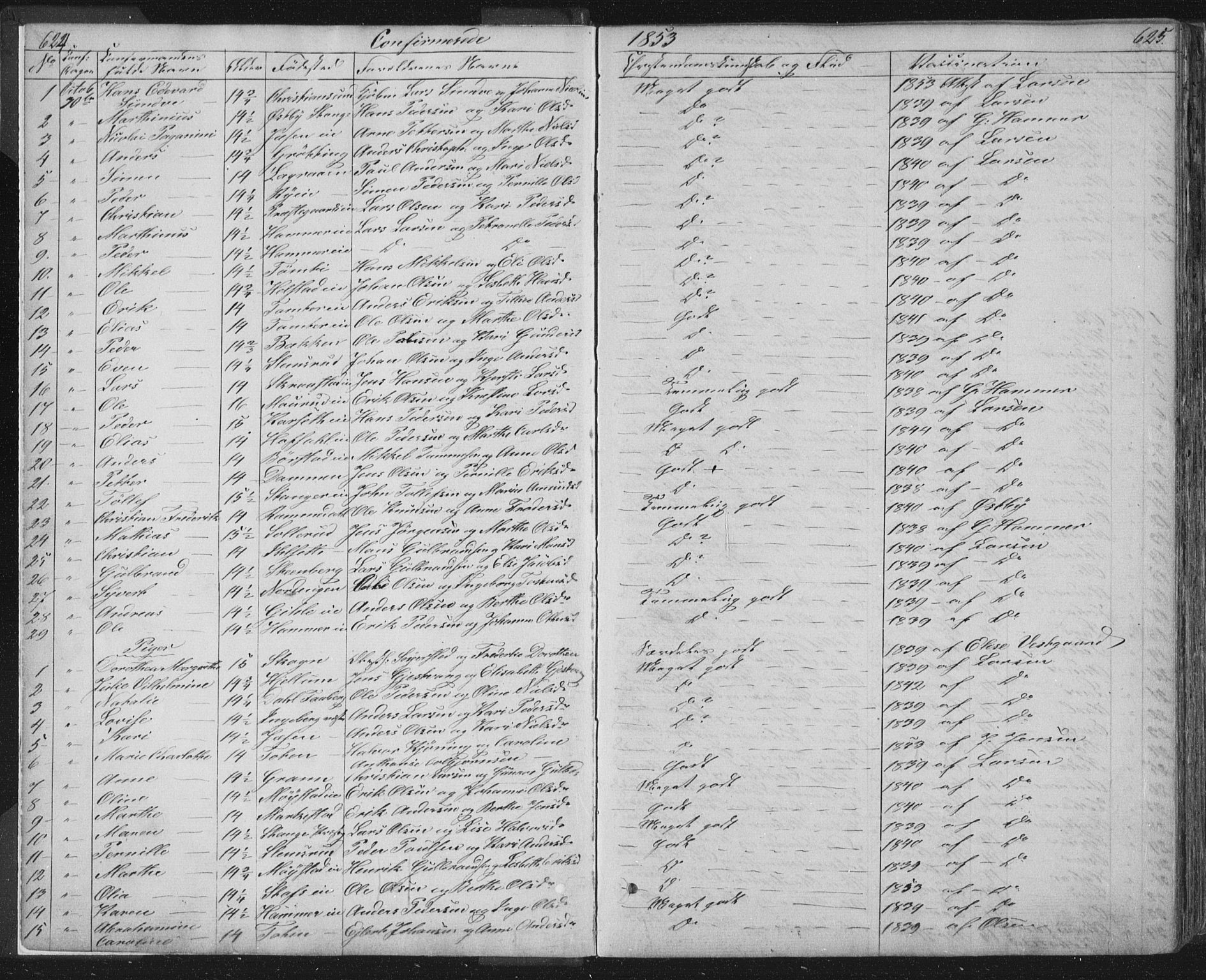 Vang prestekontor, Hedmark, SAH/PREST-008/H/Ha/Hab/L0010B: Parish register (copy) no. 10b, 1854-1896, p. 624-625