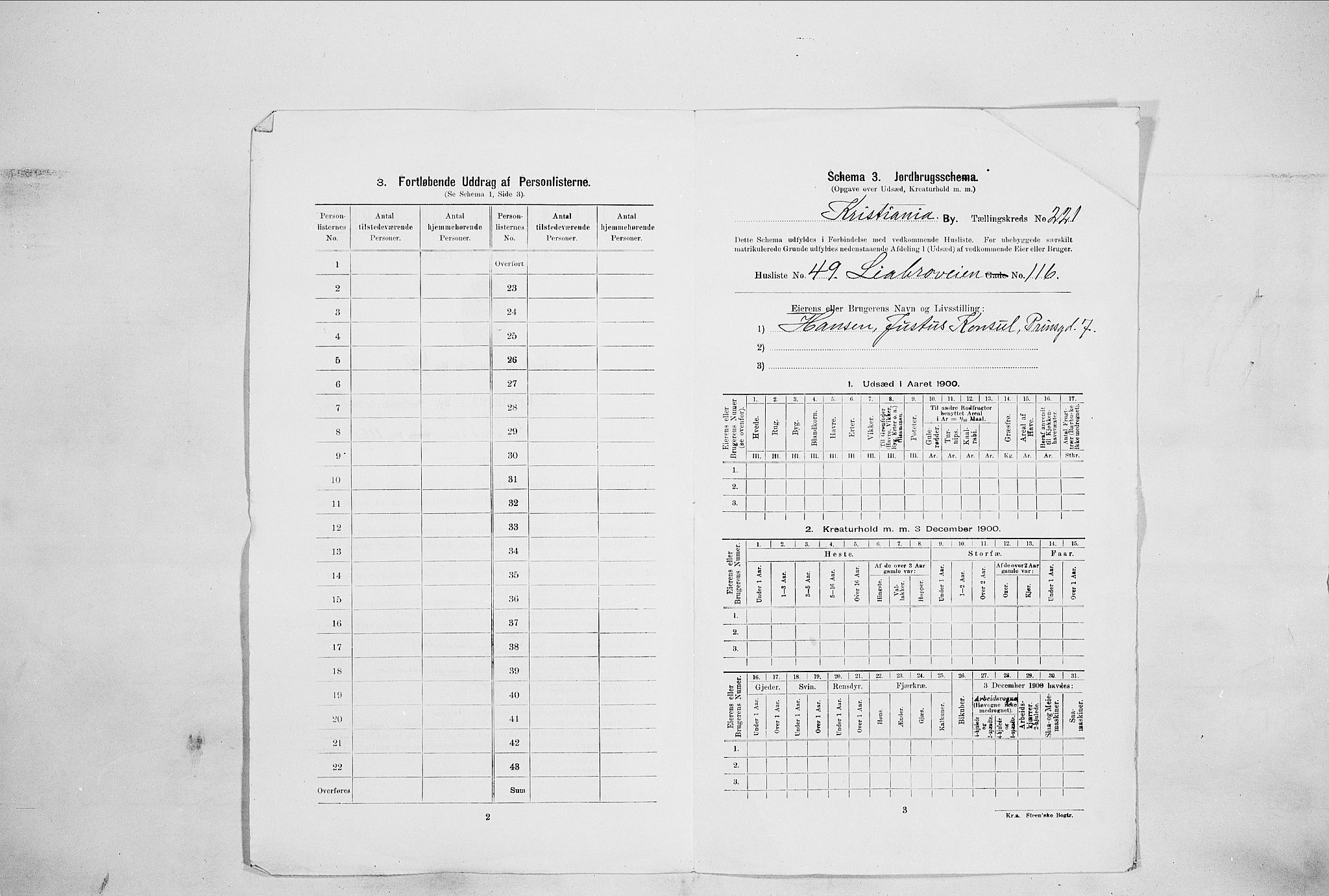 SAO, 1900 census for Kristiania, 1900, p. 52817