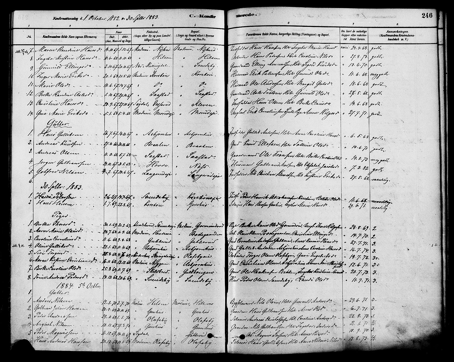 Modum kirkebøker, AV/SAKO-A-234/F/Fa/L0015: Parish register (official) no. 15 /2, 1877-1889, p. 246