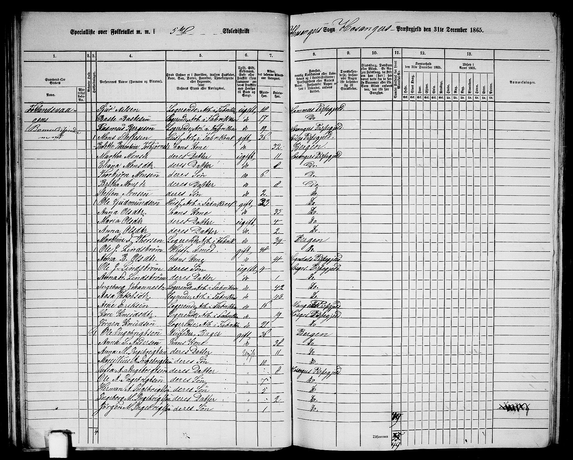 RA, 1865 census for Hosanger, 1865, p. 41