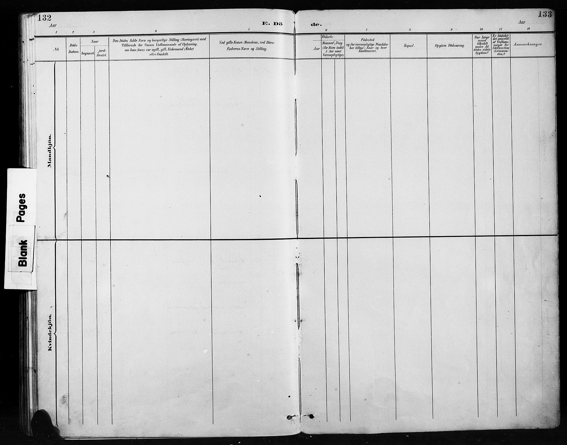 Etnedal prestekontor, SAH/PREST-130/H/Ha/Hab/Habb/L0001: Parish register (copy) no. II 1, 1894-1911, p. 132-133