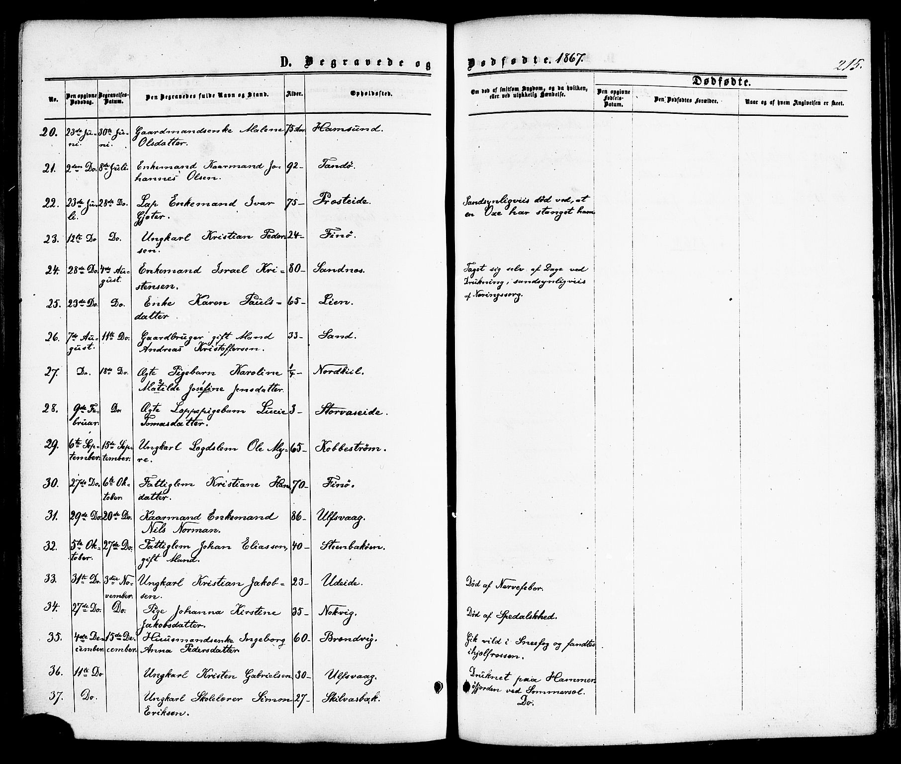 Ministerialprotokoller, klokkerbøker og fødselsregistre - Nordland, AV/SAT-A-1459/859/L0845: Parish register (official) no. 859A05, 1863-1877, p. 215