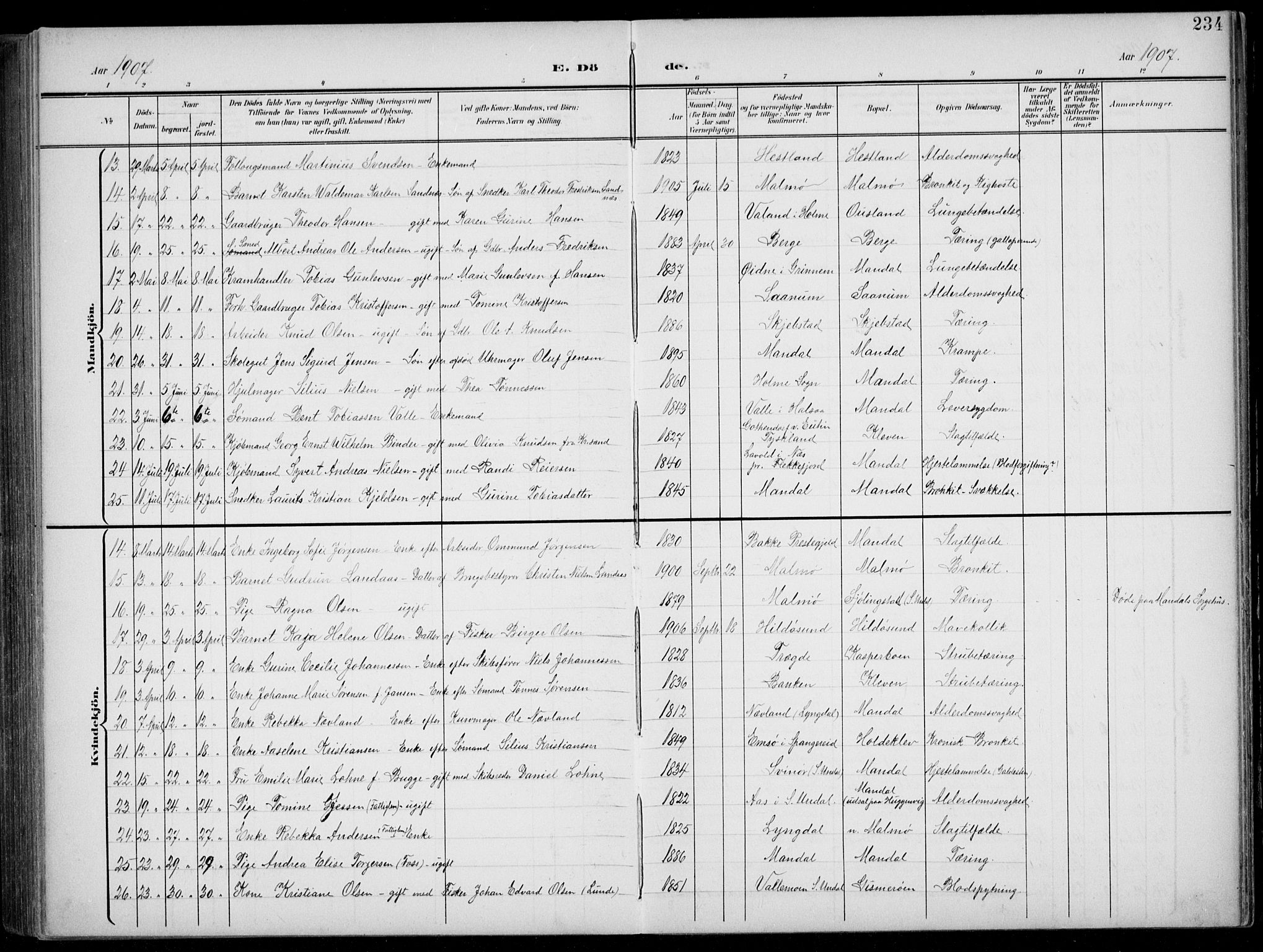 Mandal sokneprestkontor, AV/SAK-1111-0030/F/Fb/Fba/L0012: Parish register (copy) no. B 6, 1899-1918, p. 234