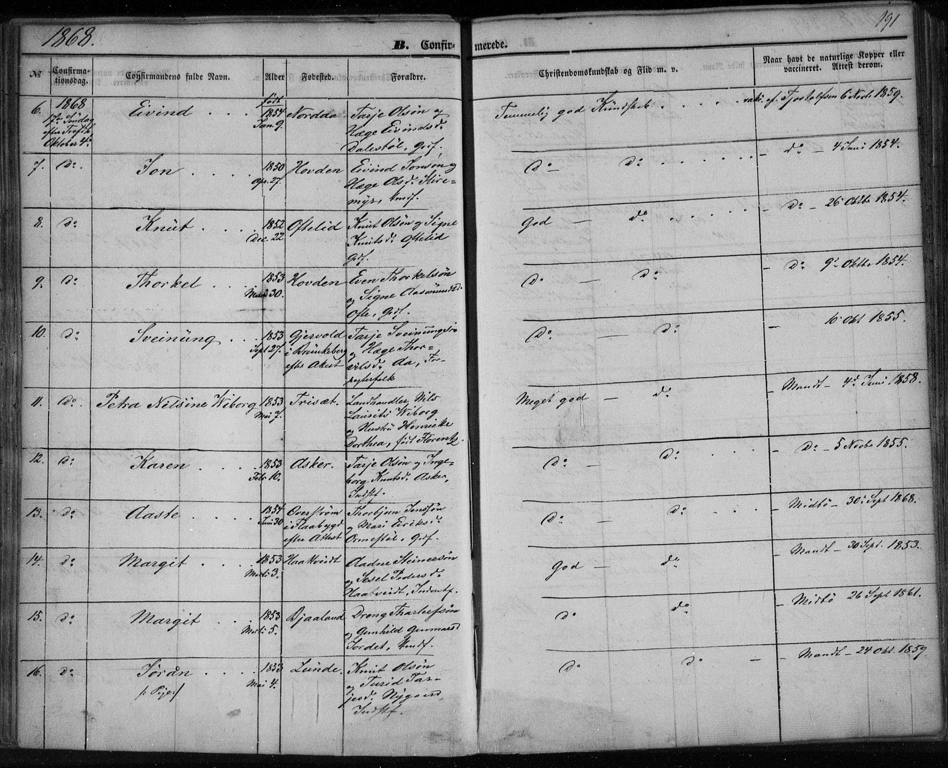 Lårdal kirkebøker, SAKO/A-284/F/Fa/L0006: Parish register (official) no. I 6, 1861-1886, p. 191