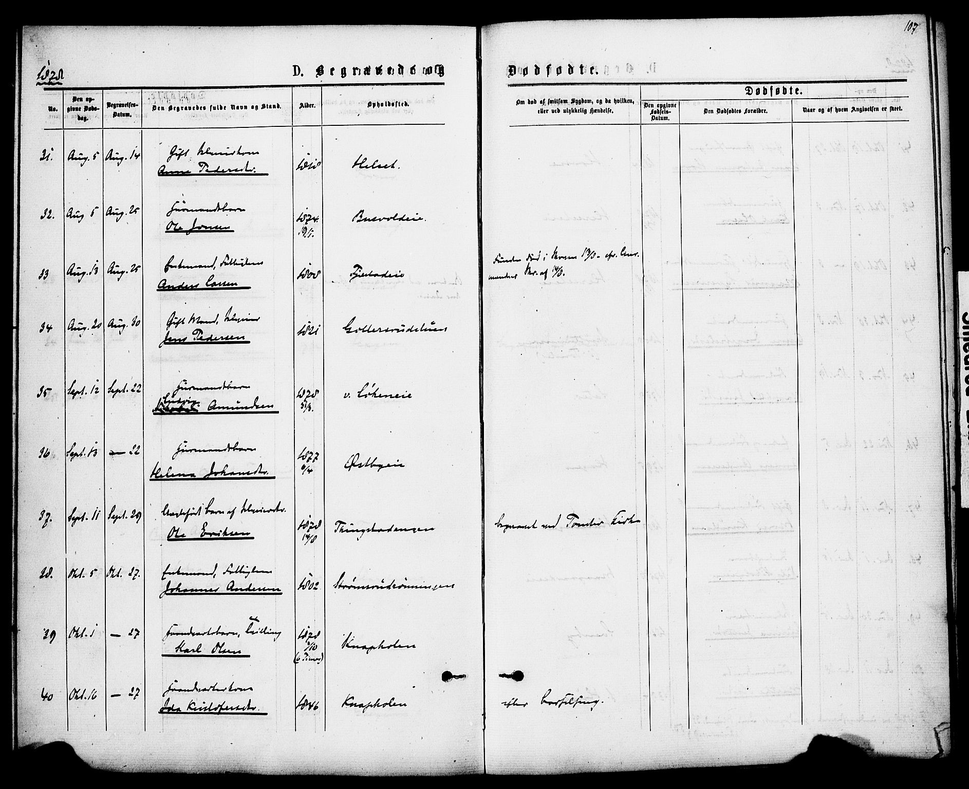 Romedal prestekontor, AV/SAH-PREST-004/K/L0007: Parish register (official) no. 7, 1875-1879, p. 107