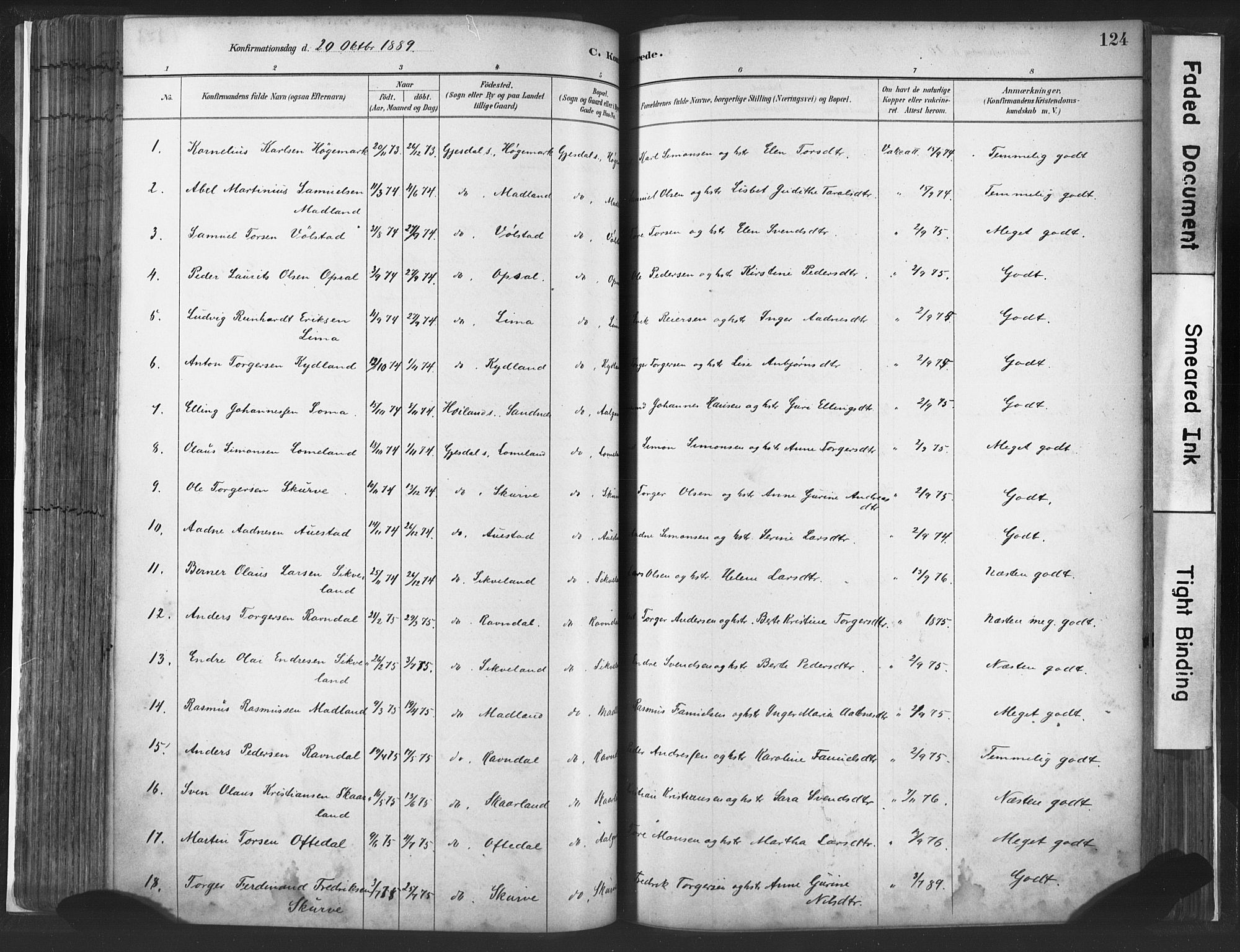 Lye sokneprestkontor, SAST/A-101794/001/30BA/L0010: Parish register (official) no. A 10, 1881-1896, p. 124