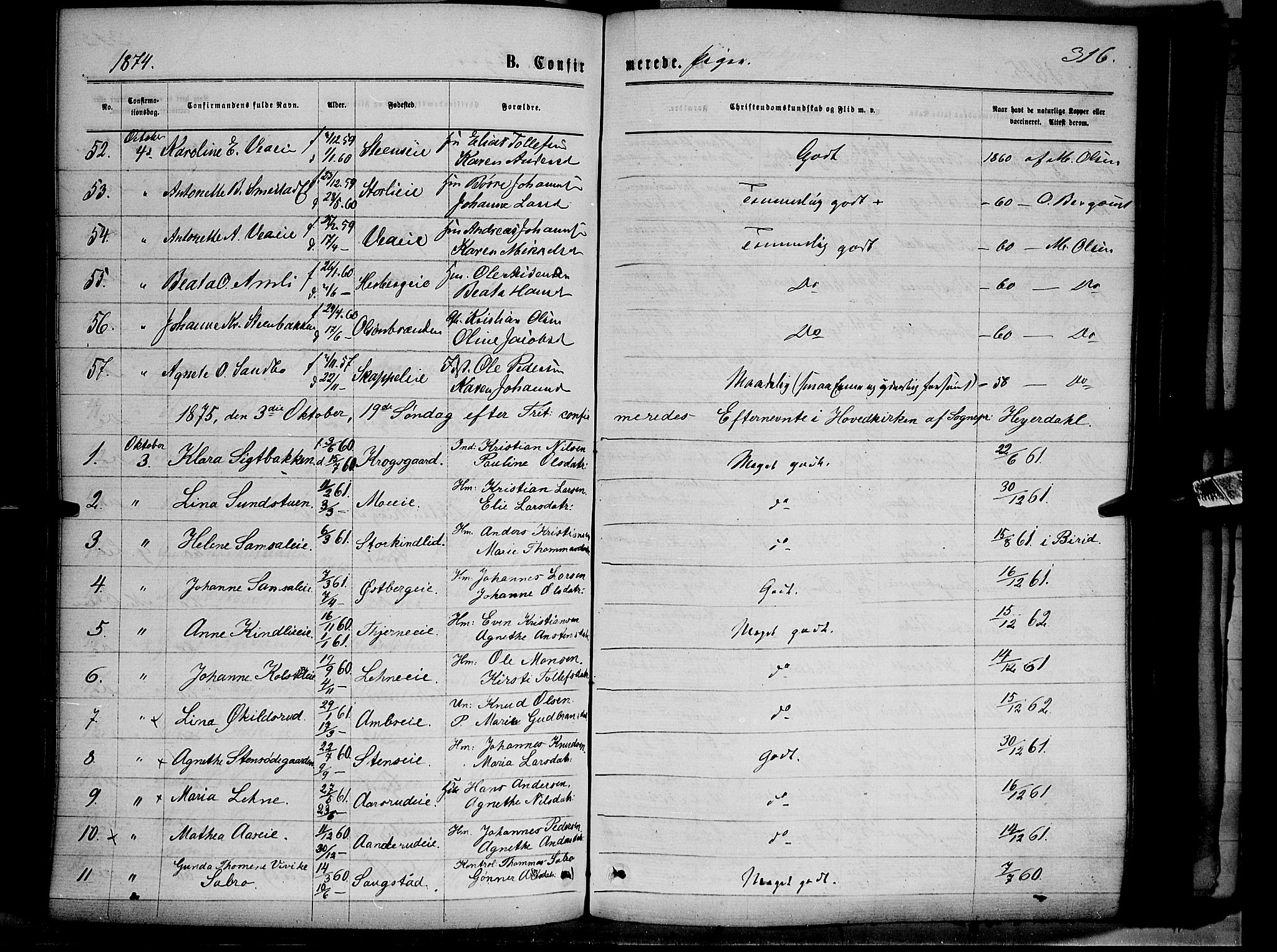 Ringsaker prestekontor, AV/SAH-PREST-014/K/Ka/L0011: Parish register (official) no. 11, 1870-1878, p. 316