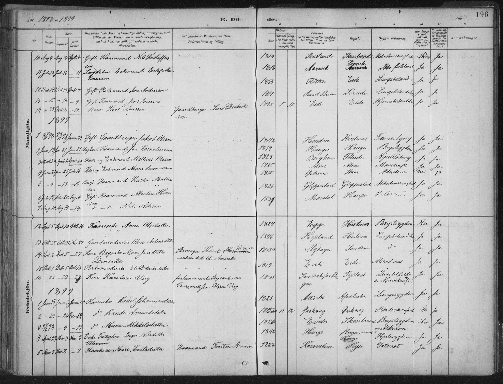 Gloppen sokneprestembete, AV/SAB-A-80101/H/Haa/Haab/L0001: Parish register (official) no. B  1, 1885-1905, p. 196