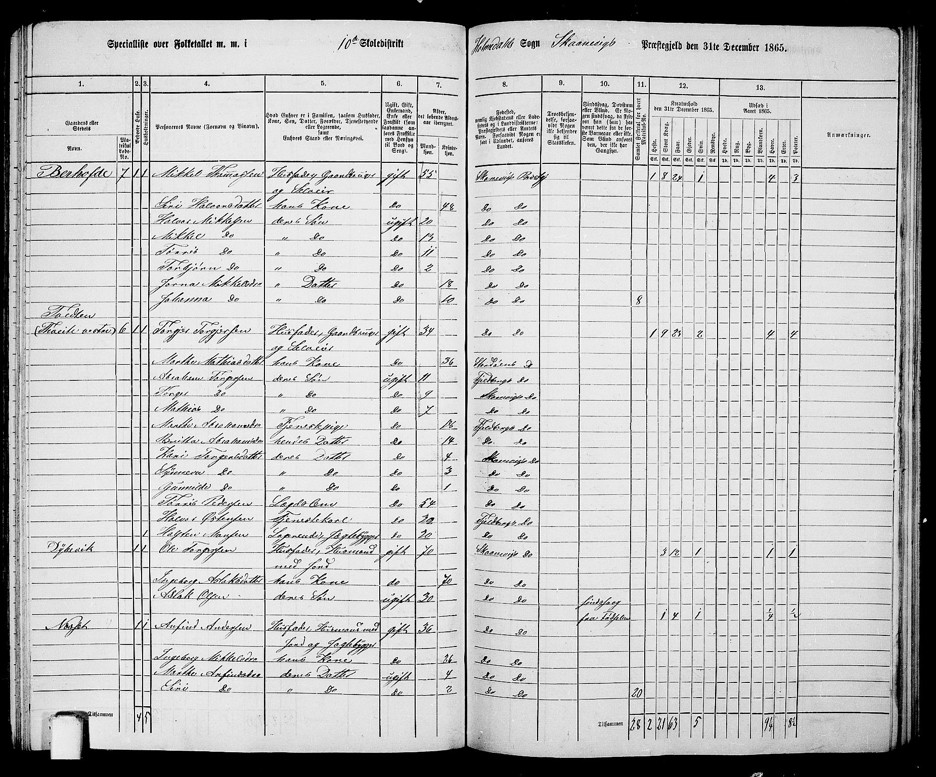 RA, 1865 census for Skånevik, 1865, p. 152