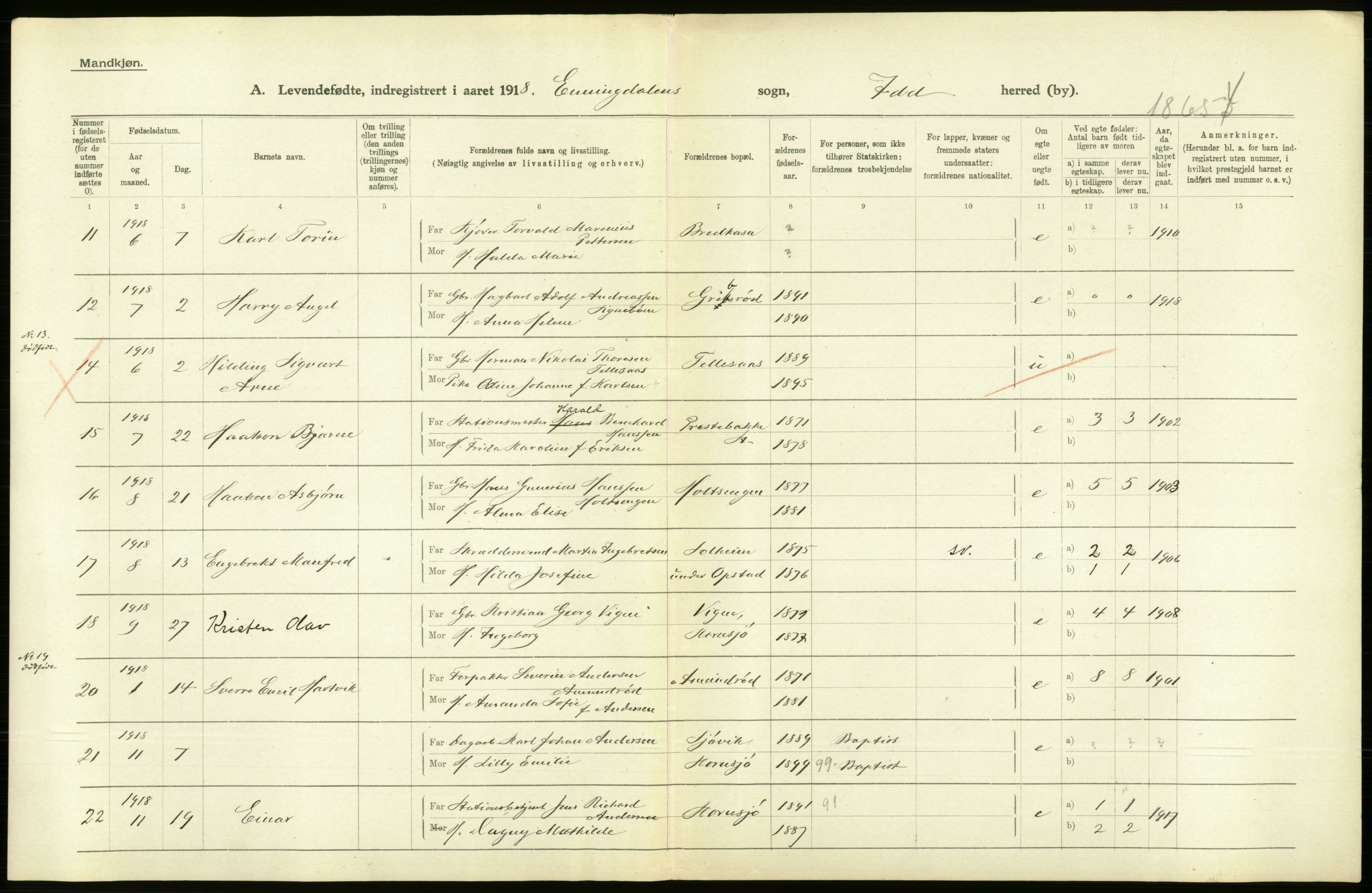 Statistisk sentralbyrå, Sosiodemografiske emner, Befolkning, AV/RA-S-2228/D/Df/Dfb/Dfbh/L0001: Østfold fylke: Levendefødte menn og kvinner. Bygder., 1918, p. 244