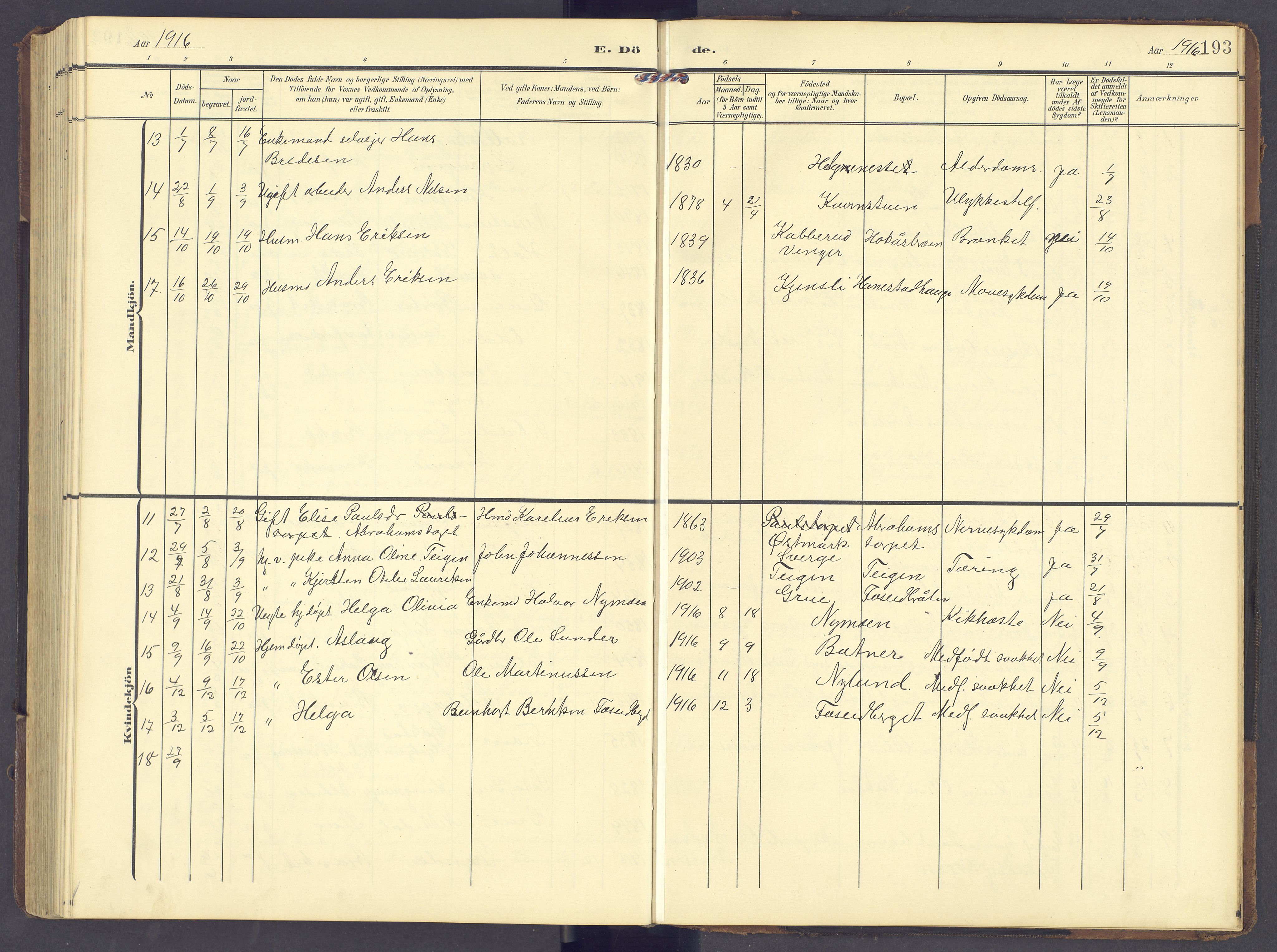 Brandval prestekontor, AV/SAH-PREST-034/H/Ha/Hab/L0003: Parish register (copy) no. 3, 1904-1917, p. 193