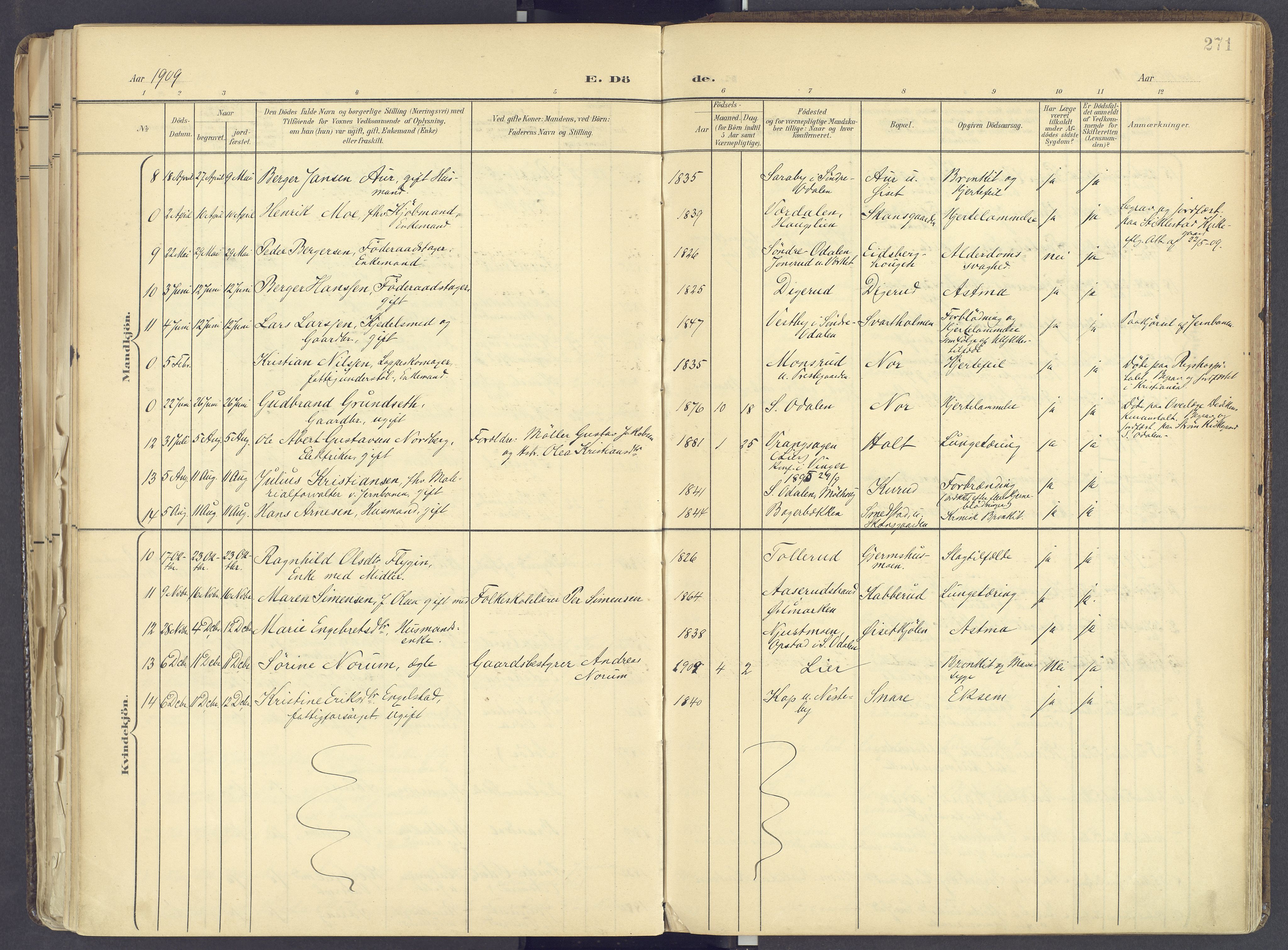 Vinger prestekontor, SAH/PREST-024/H/Ha/Haa/L0017: Parish register (official) no. 17, 1901-1927, p. 271