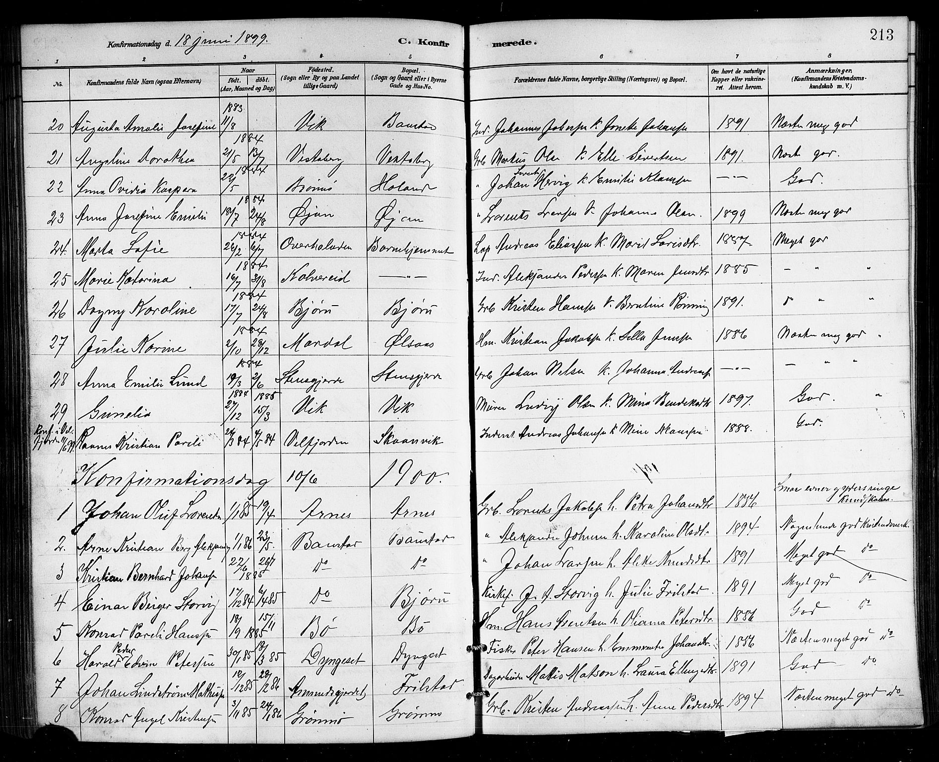 Ministerialprotokoller, klokkerbøker og fødselsregistre - Nordland, SAT/A-1459/812/L0188: Parish register (copy) no. 812C06, 1884-1912, p. 213