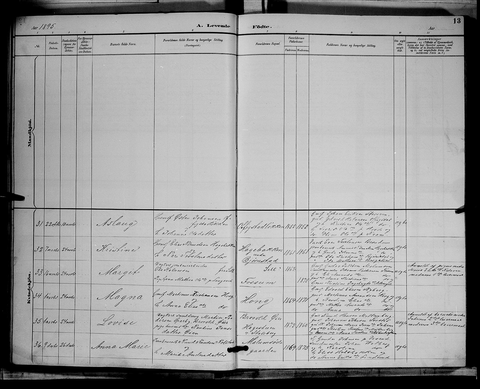 Øyer prestekontor, SAH/PREST-084/H/Ha/Hab/L0004: Parish register (copy) no. 4, 1894-1905, p. 13