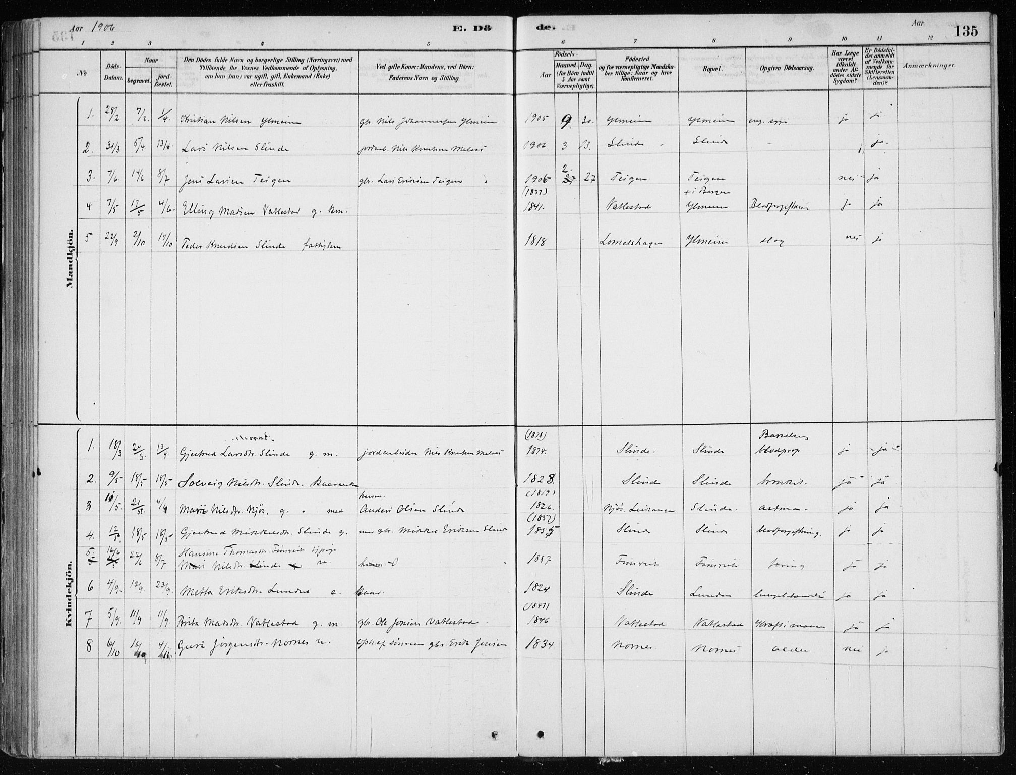 Sogndal sokneprestembete, SAB/A-81301/H/Haa/Haac/L0001: Parish register (official) no. C 1, 1878-1907, p. 135