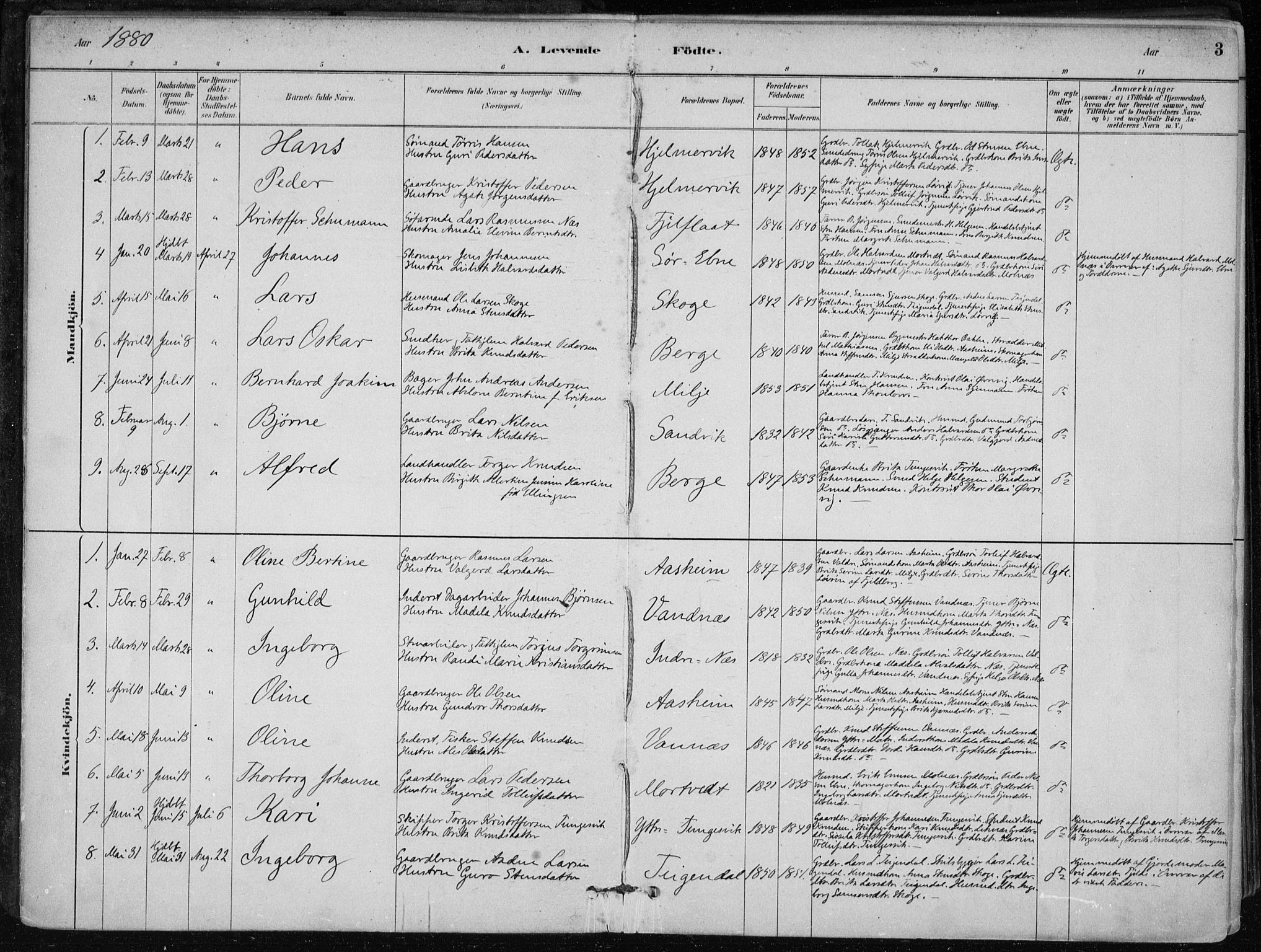 Skånevik sokneprestembete, AV/SAB-A-77801/H/Haa: Parish register (official) no. B 1, 1879-1914, p. 3