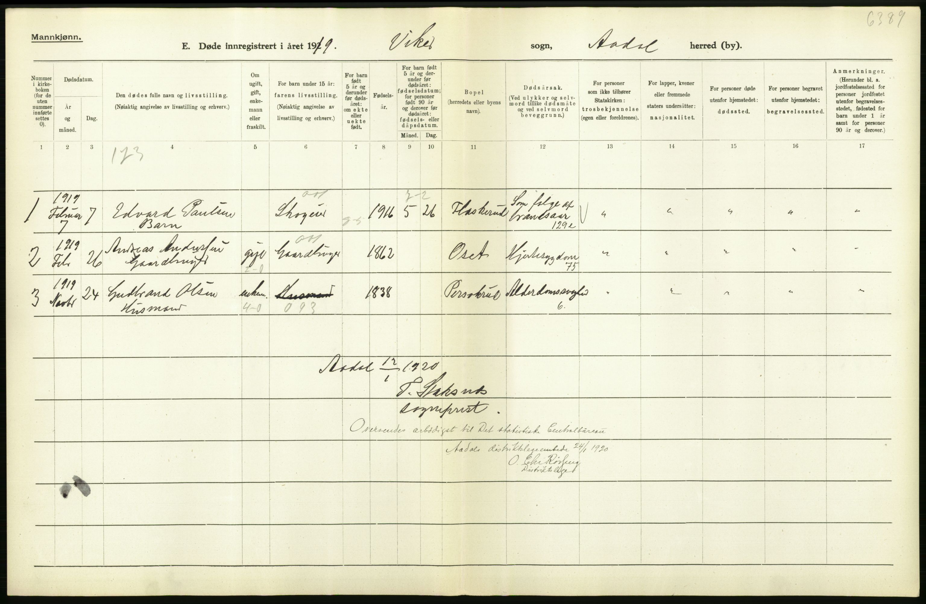 Statistisk sentralbyrå, Sosiodemografiske emner, Befolkning, AV/RA-S-2228/D/Df/Dfb/Dfbi/L0018: Buskerud fylke: Døde. Bygder og byer., 1919, p. 204