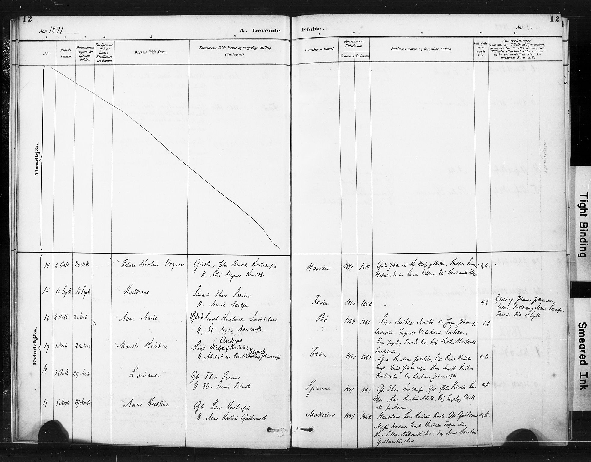 Torvastad sokneprestkontor, AV/SAST-A -101857/H/Ha/Haa/L0015: Parish register (official) no. A 14, 1888-1899, p. 12