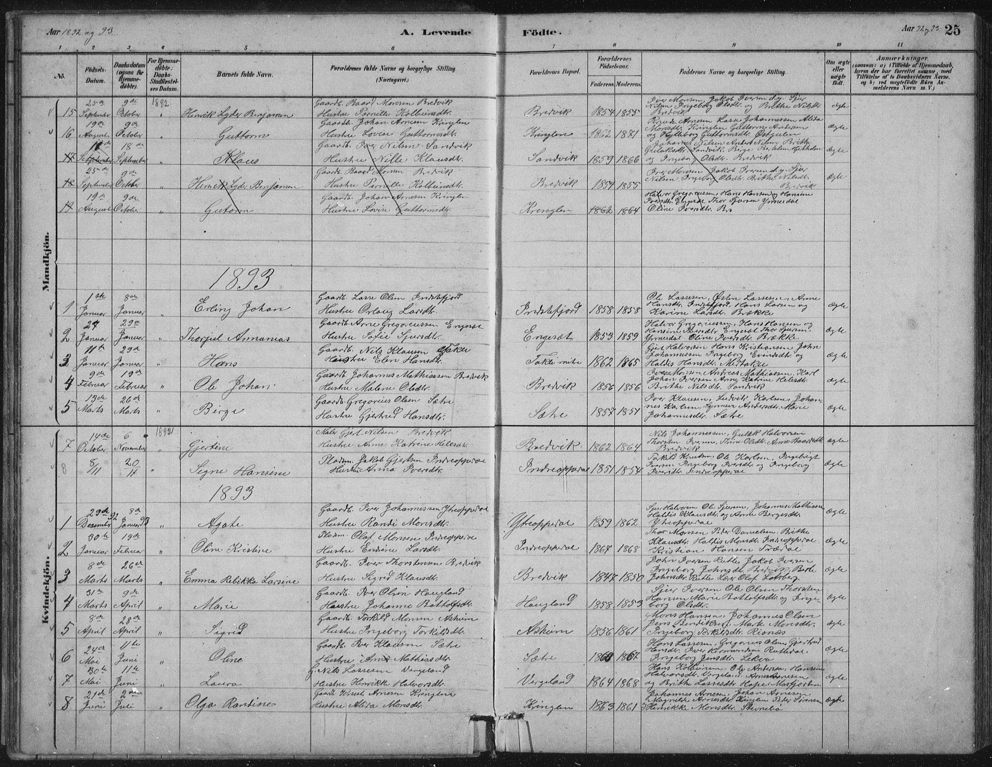 Gulen sokneprestembete, AV/SAB-A-80201/H/Hab/Habc/L0002: Parish register (copy) no. C 2, 1880-1938, p. 25