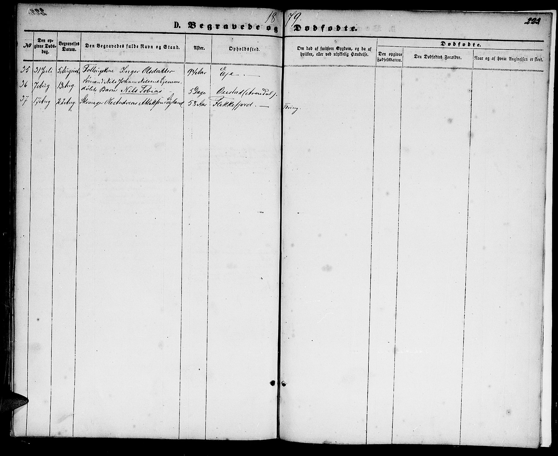 Flekkefjord sokneprestkontor, AV/SAK-1111-0012/F/Fb/Fbc/L0006: Parish register (copy) no. B 6, 1866-1879, p. 223