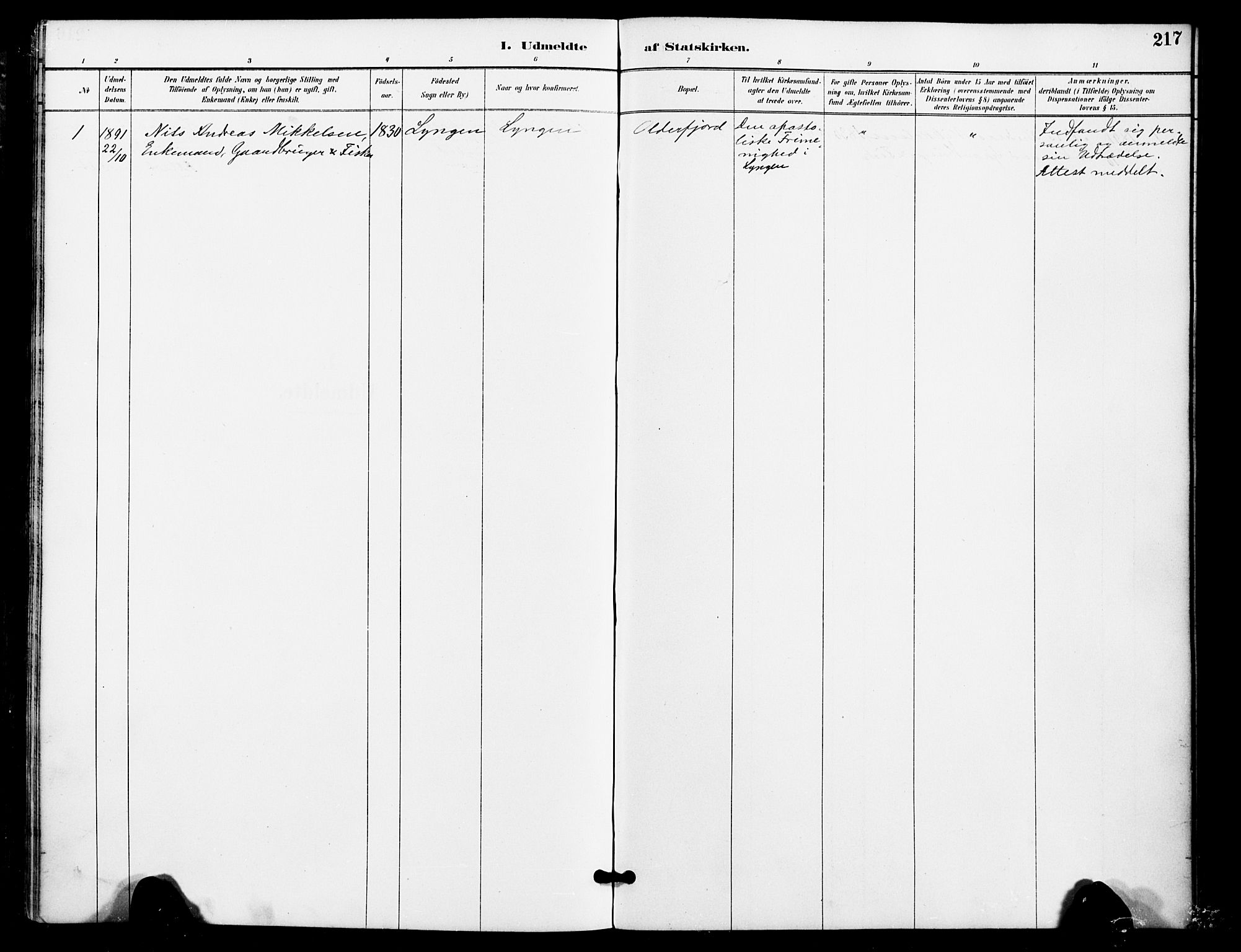 Kistrand/Porsanger sokneprestembete, AV/SATØ-S-1351/H/Ha/L0008.kirke: Parish register (official) no. 8, 1890-1898, p. 217