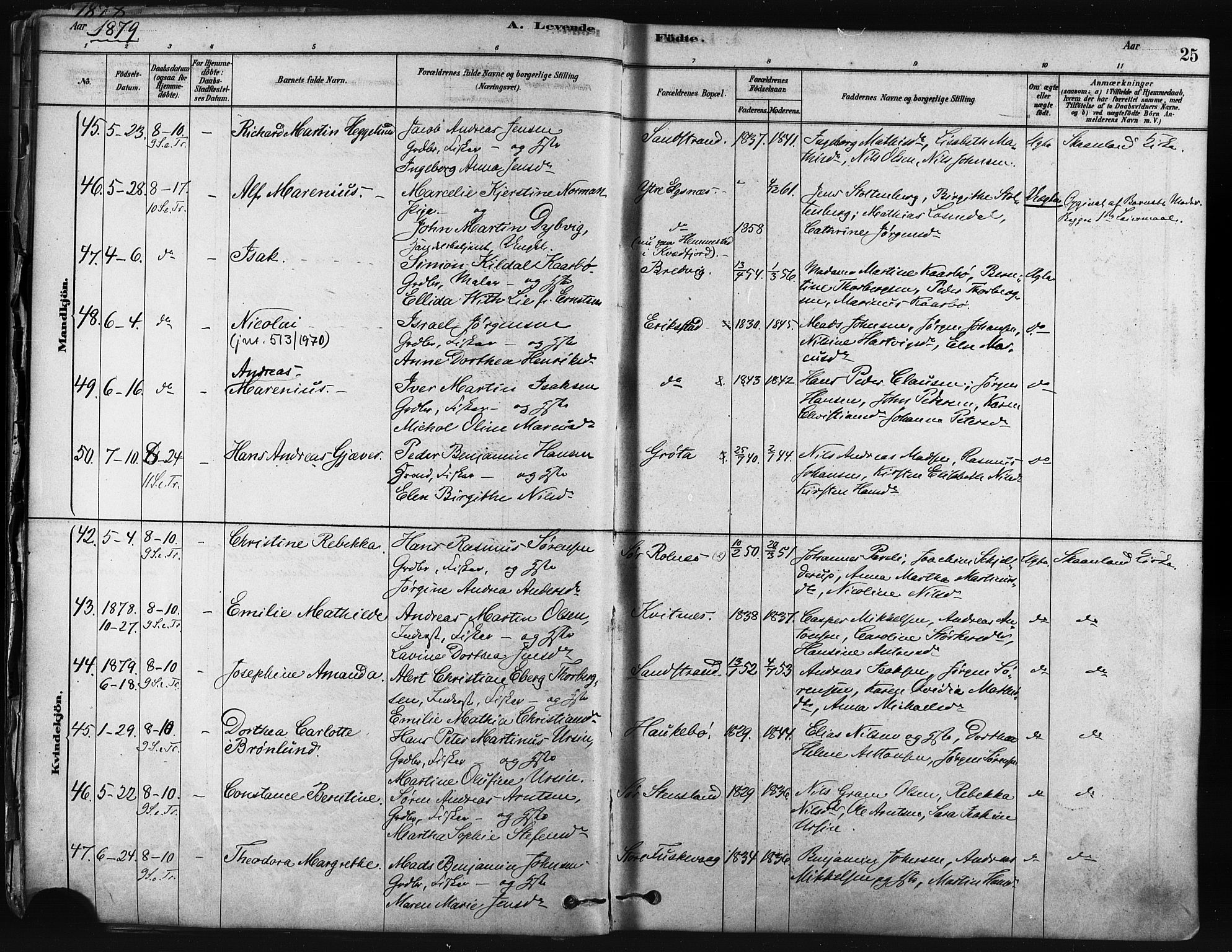 Trondenes sokneprestkontor, SATØ/S-1319/H/Ha/L0014kirke: Parish register (official) no. 14, 1878-1889, p. 25