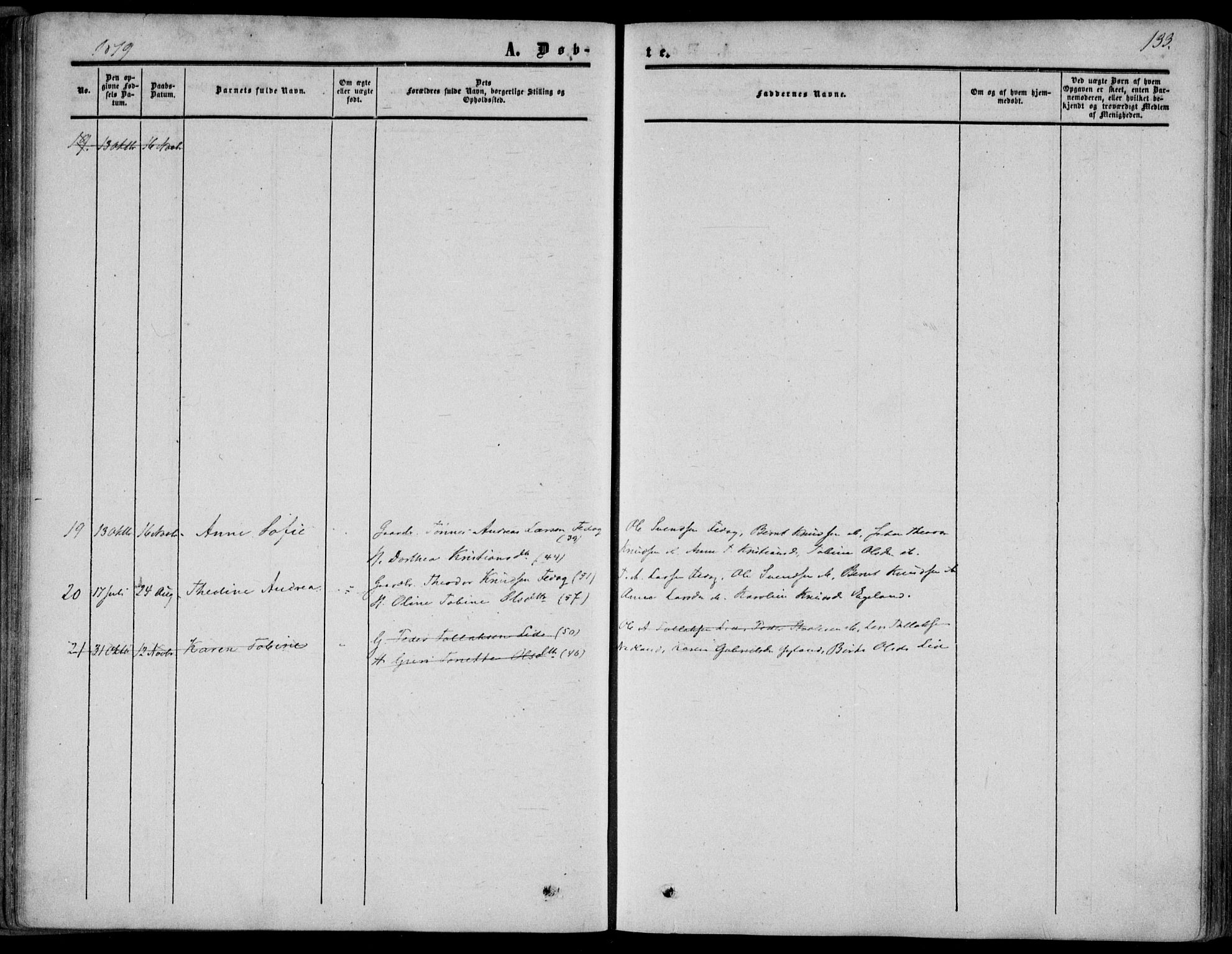 Bakke sokneprestkontor, AV/SAK-1111-0002/F/Fa/Fab/L0002: Parish register (official) no. A 2, 1855-1884, p. 133