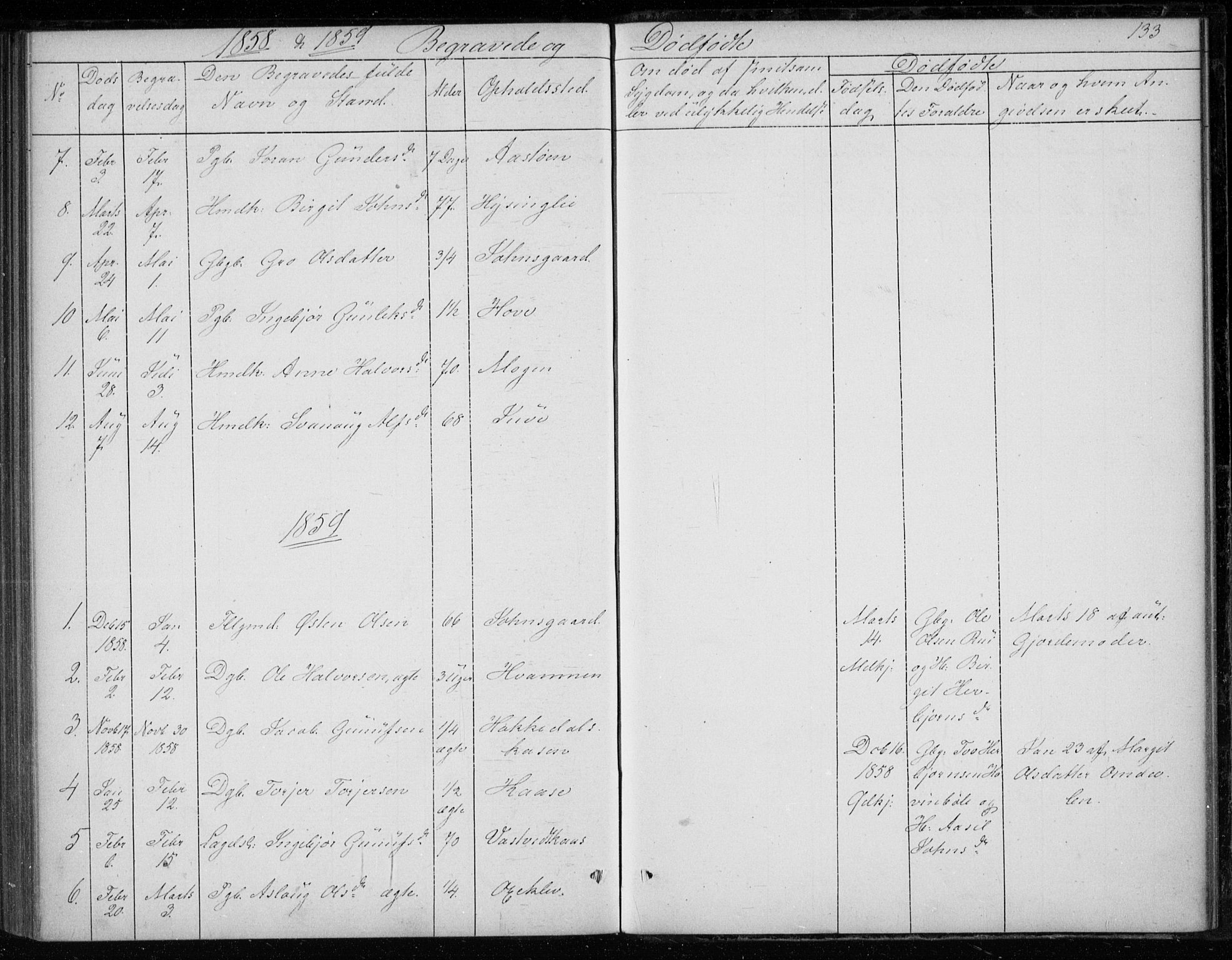 Gransherad kirkebøker, SAKO/A-267/F/Fb/L0003: Parish register (official) no. II 3, 1844-1859, p. 133