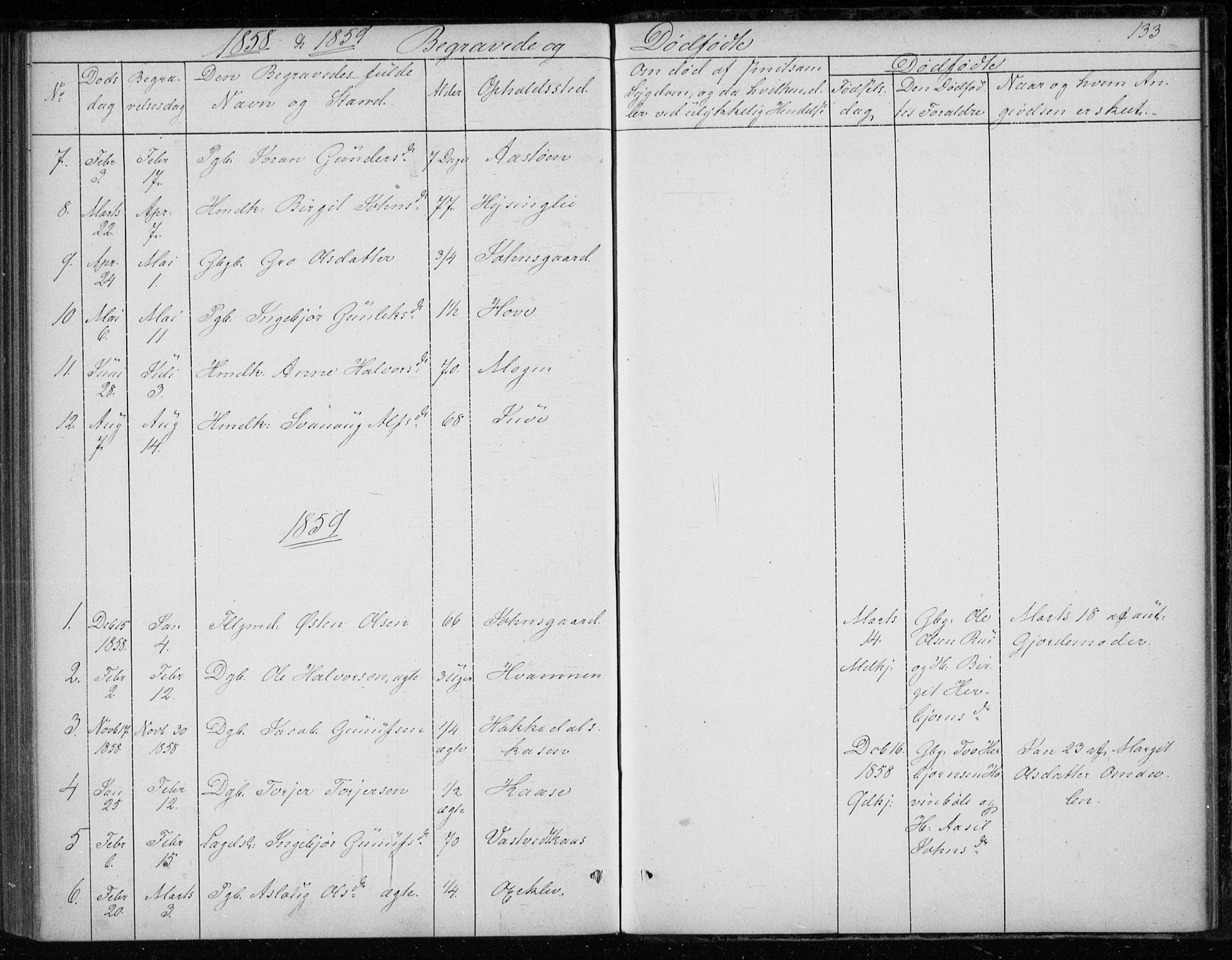 Gransherad kirkebøker, AV/SAKO-A-267/F/Fb/L0003: Parish register (official) no. II 3, 1844-1859, p. 133