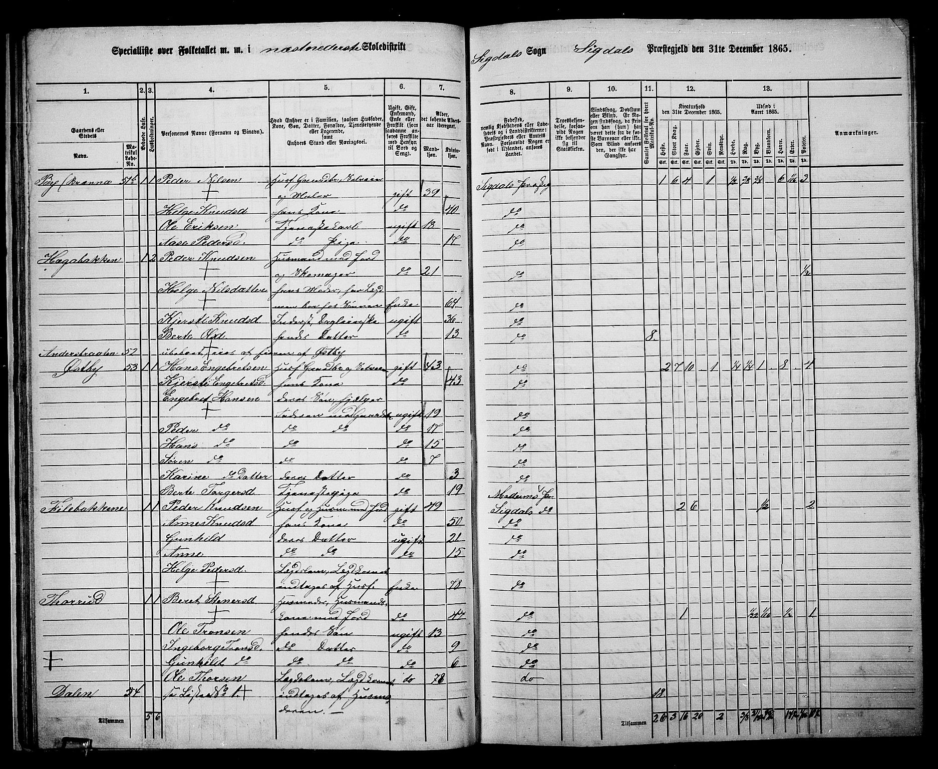 RA, 1865 census for Sigdal, 1865, p. 47