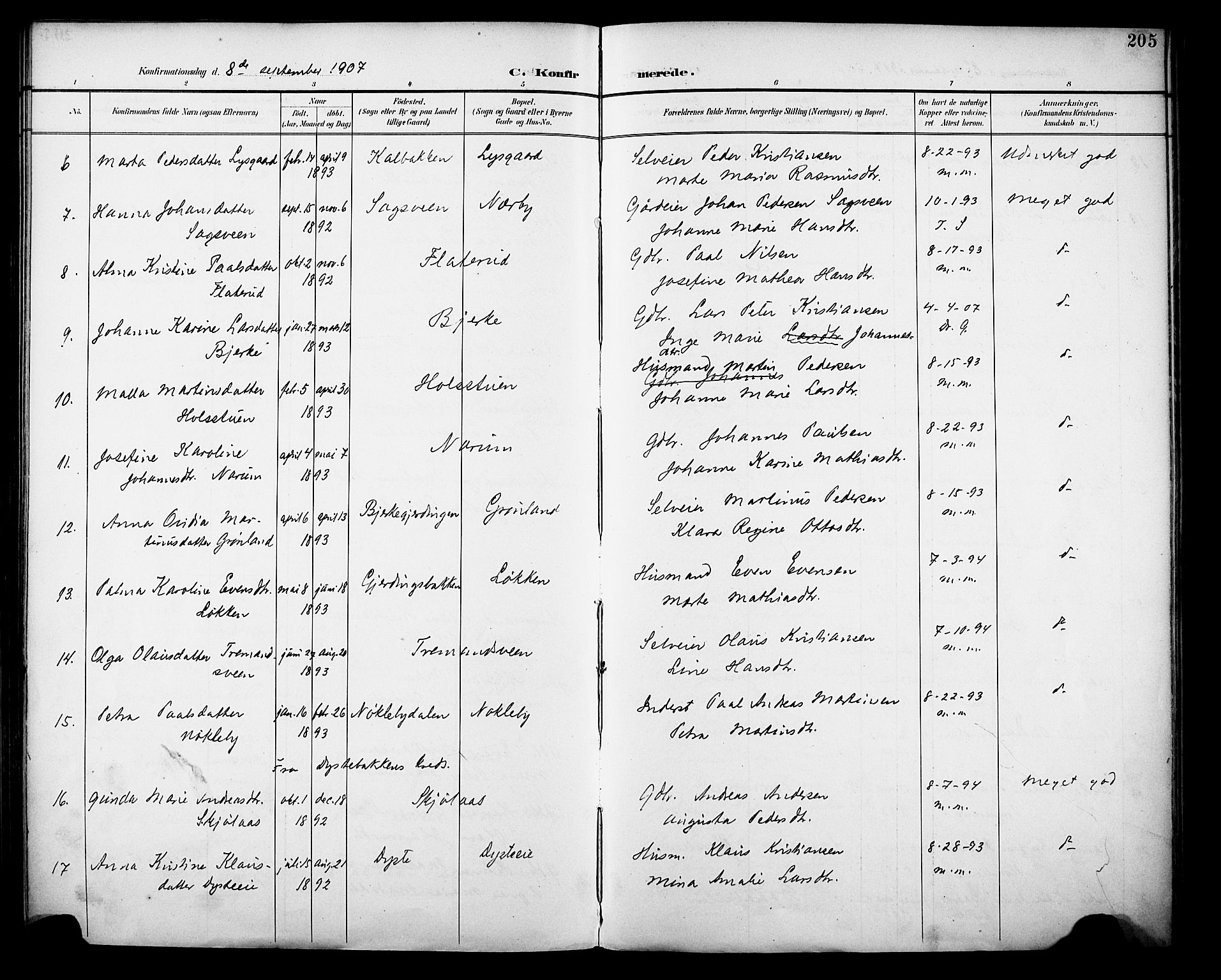 Vestre Toten prestekontor, SAH/PREST-108/H/Ha/Haa/L0013: Parish register (official) no. 13, 1895-1911, p. 205