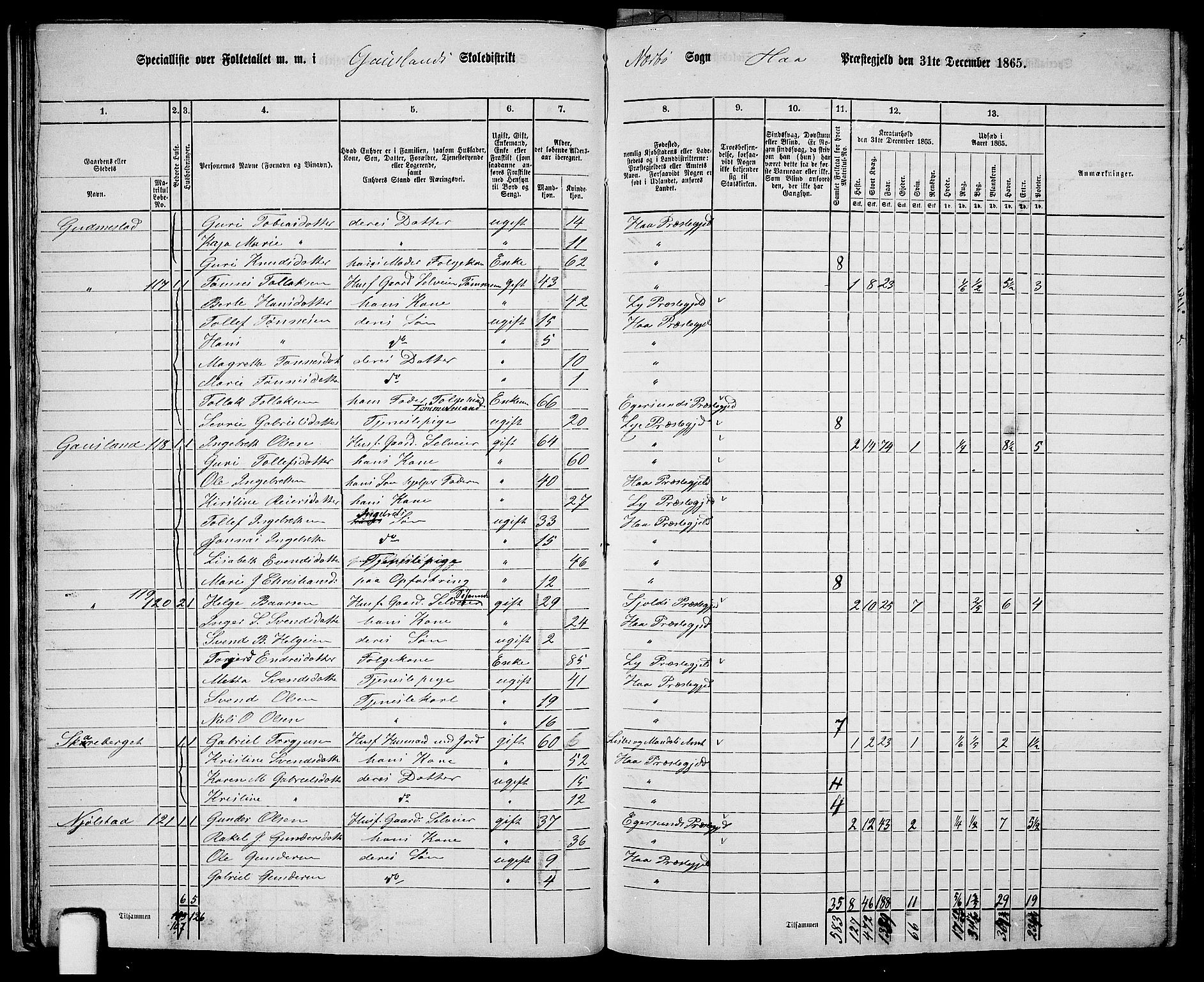 RA, 1865 census for Hå, 1865, p. 30