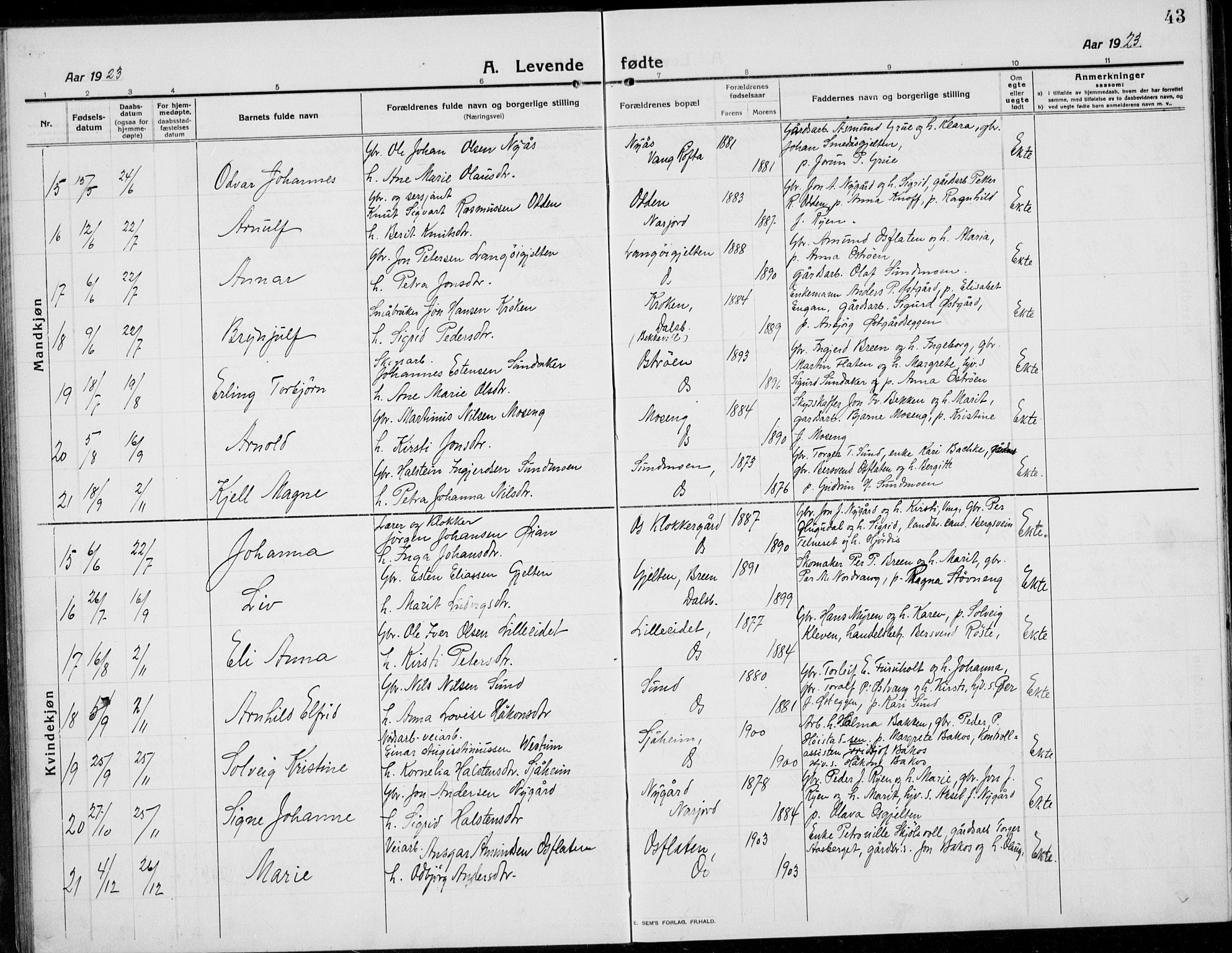 Tolga prestekontor, AV/SAH-PREST-062/L/L0014: Parish register (copy) no. 14, 1913-1936, p. 43