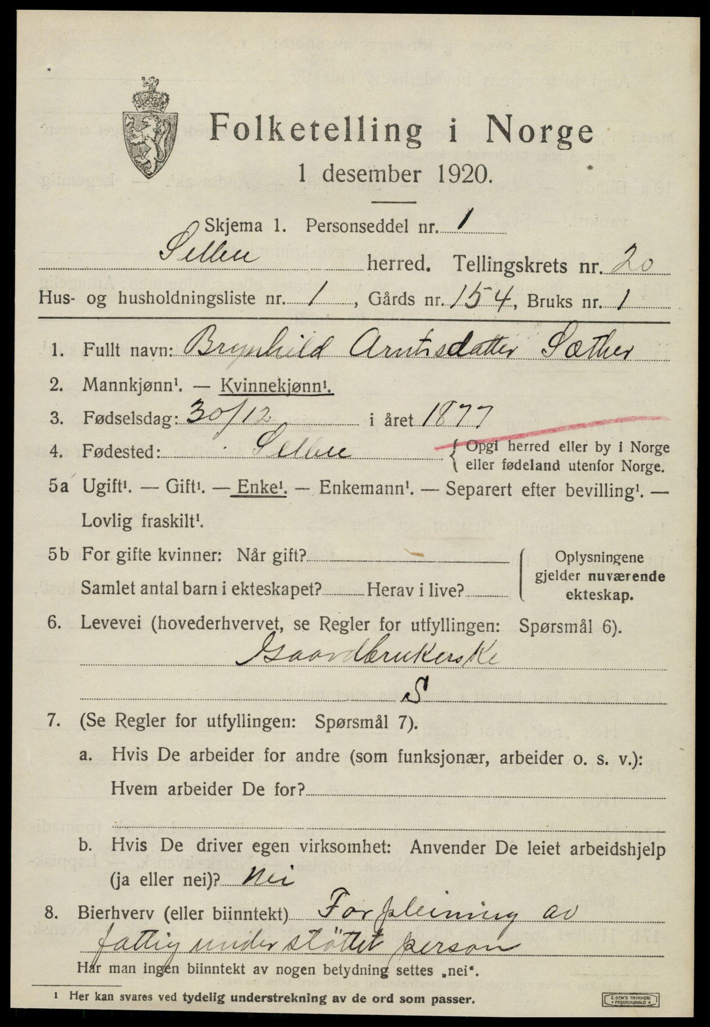 SAT, 1920 census for Selbu, 1920, p. 10208