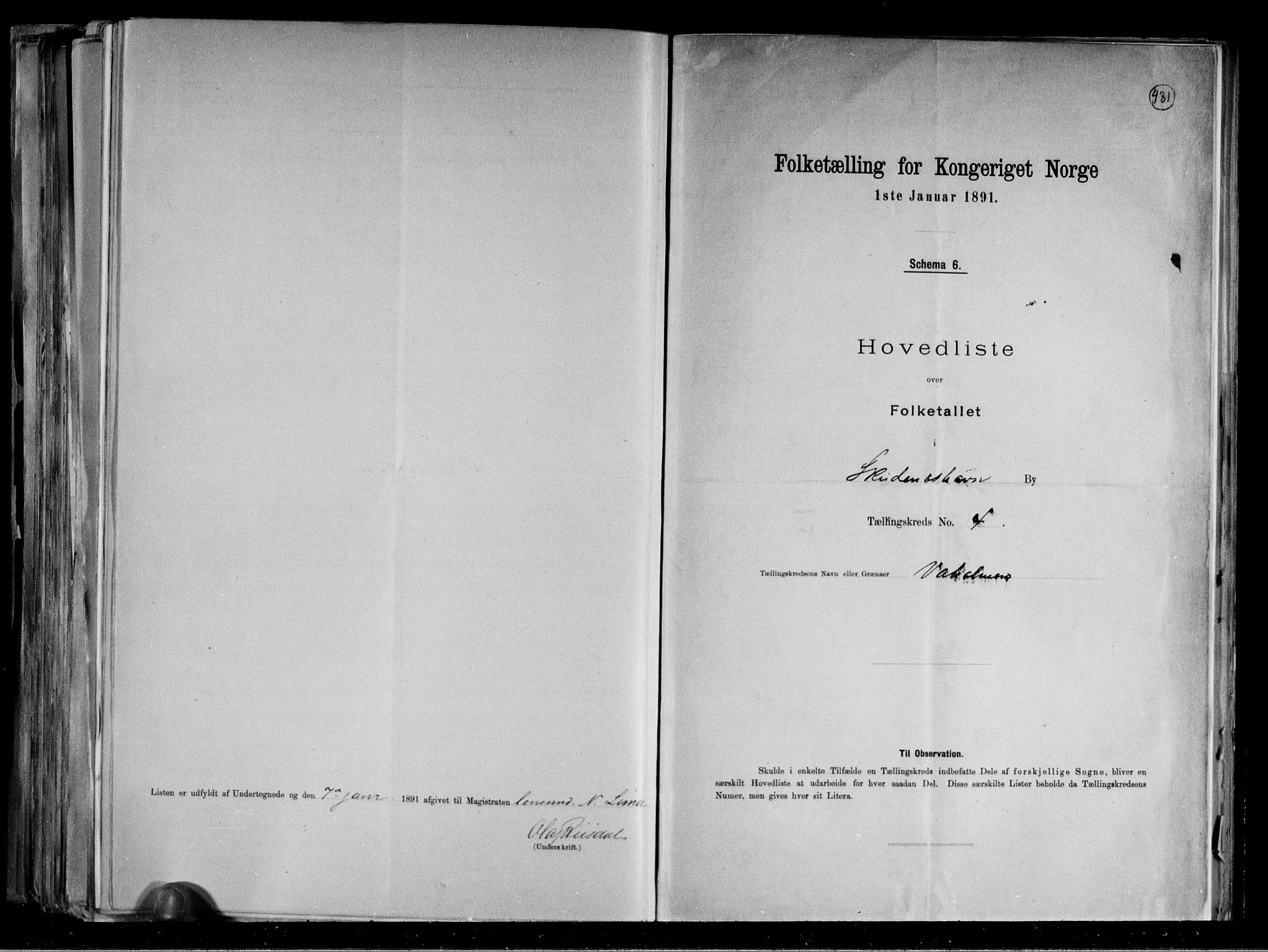 RA, 1891 census for 1104 Skudeneshavn, 1891, p. 11