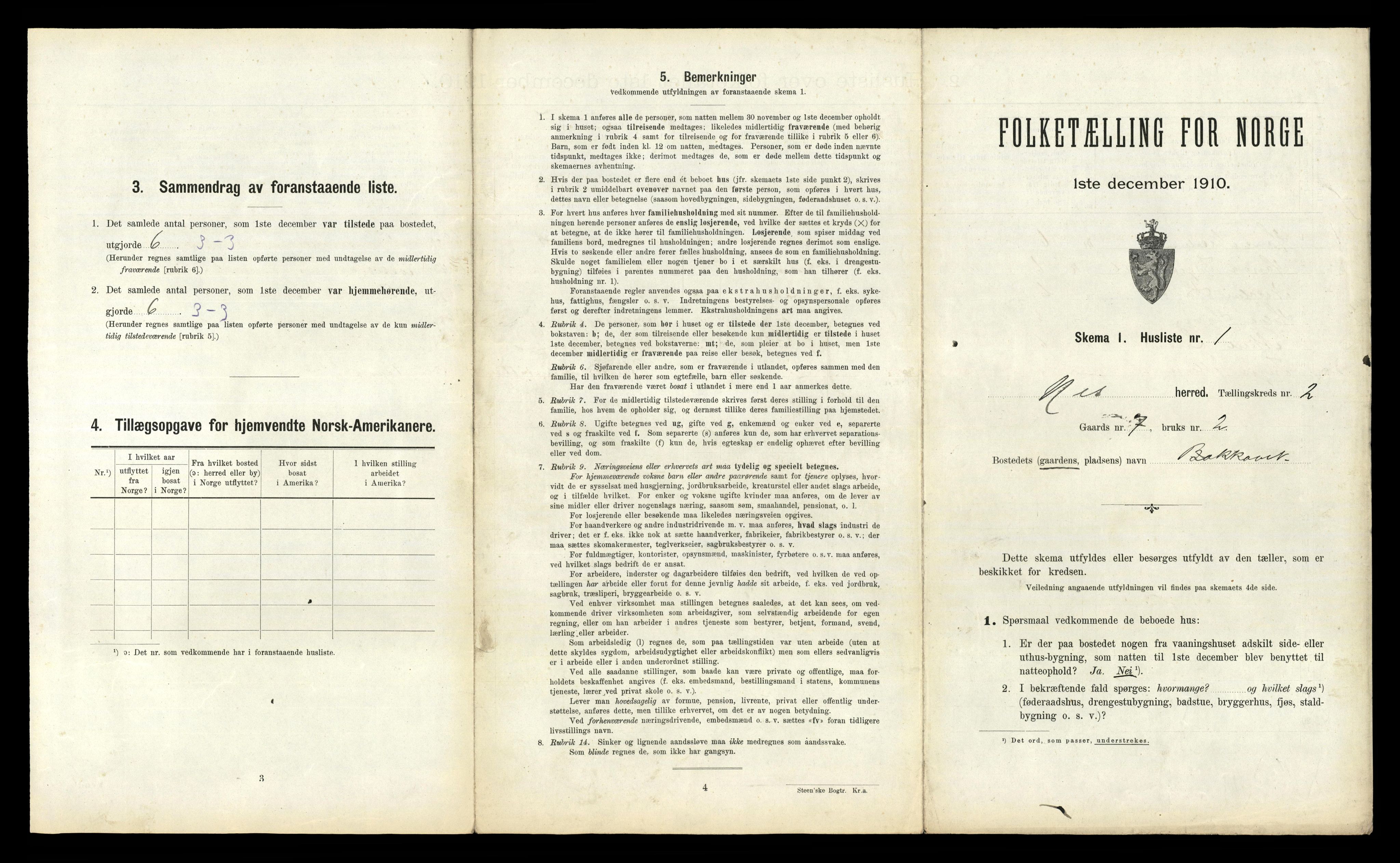 RA, 1910 census for Nes, 1910, p. 193