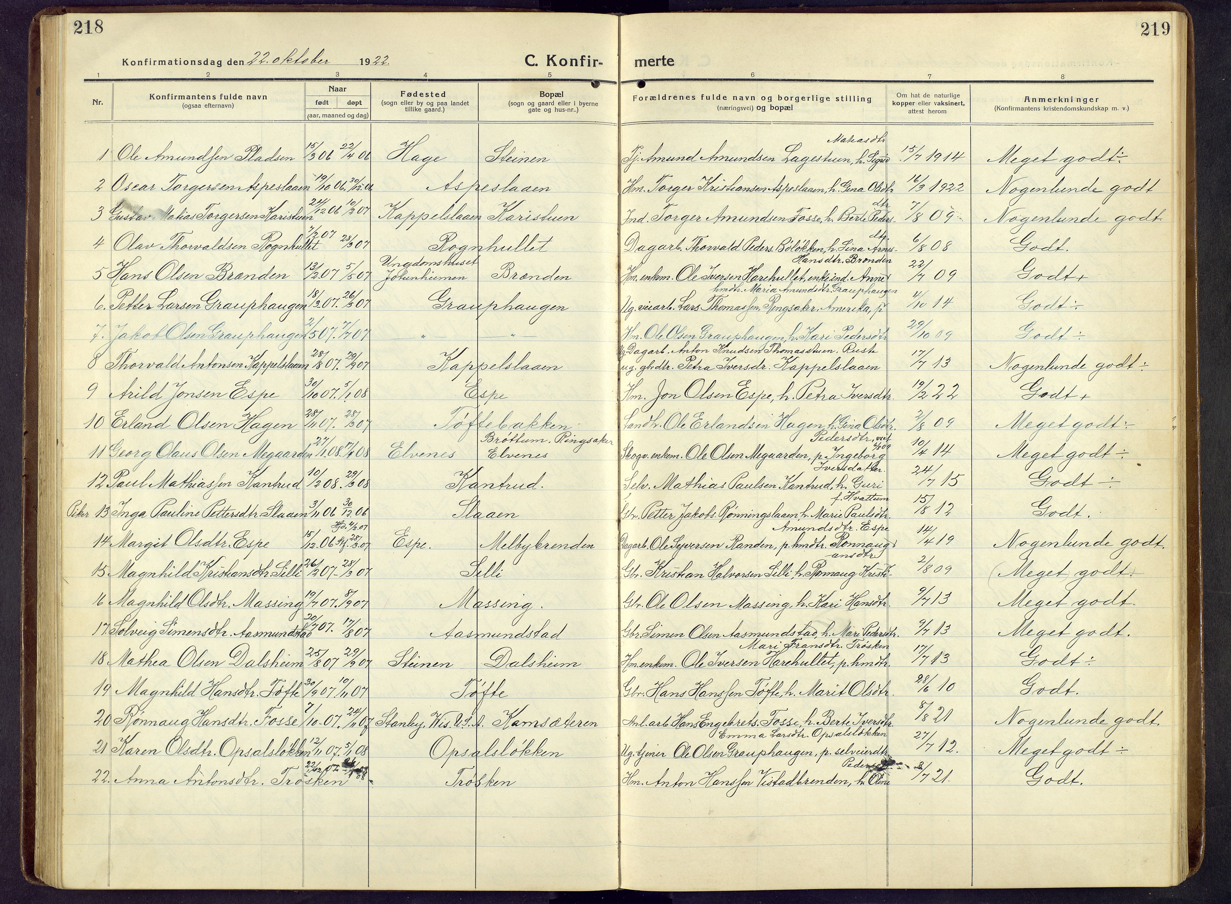 Nord-Fron prestekontor, SAH/PREST-080/H/Ha/Hab/L0009: Parish register (copy) no. 9, 1915-1958, p. 218-219