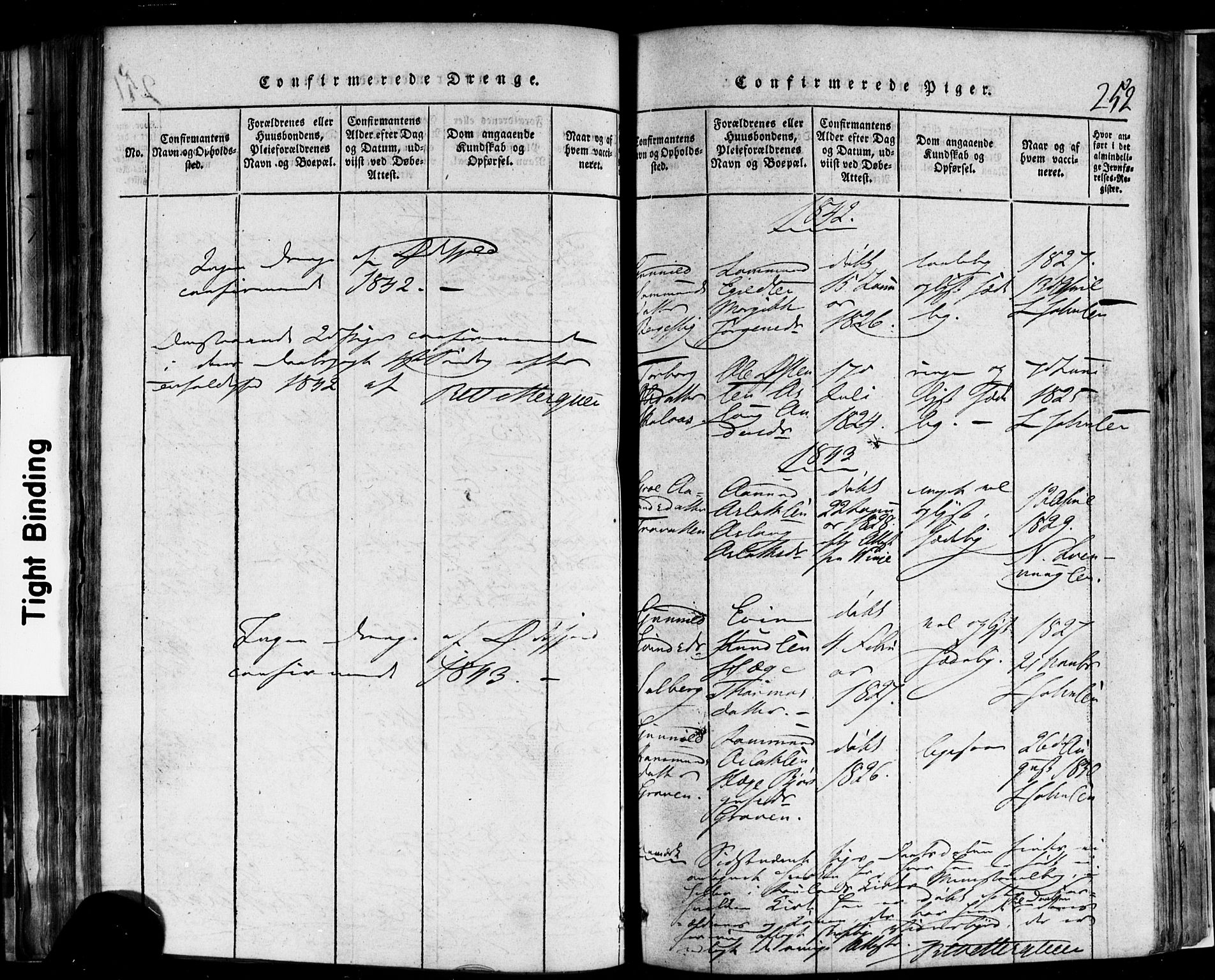 Rauland kirkebøker, SAKO/A-292/F/Fa/L0002: Parish register (official) no. 2, 1815-1860, p. 252