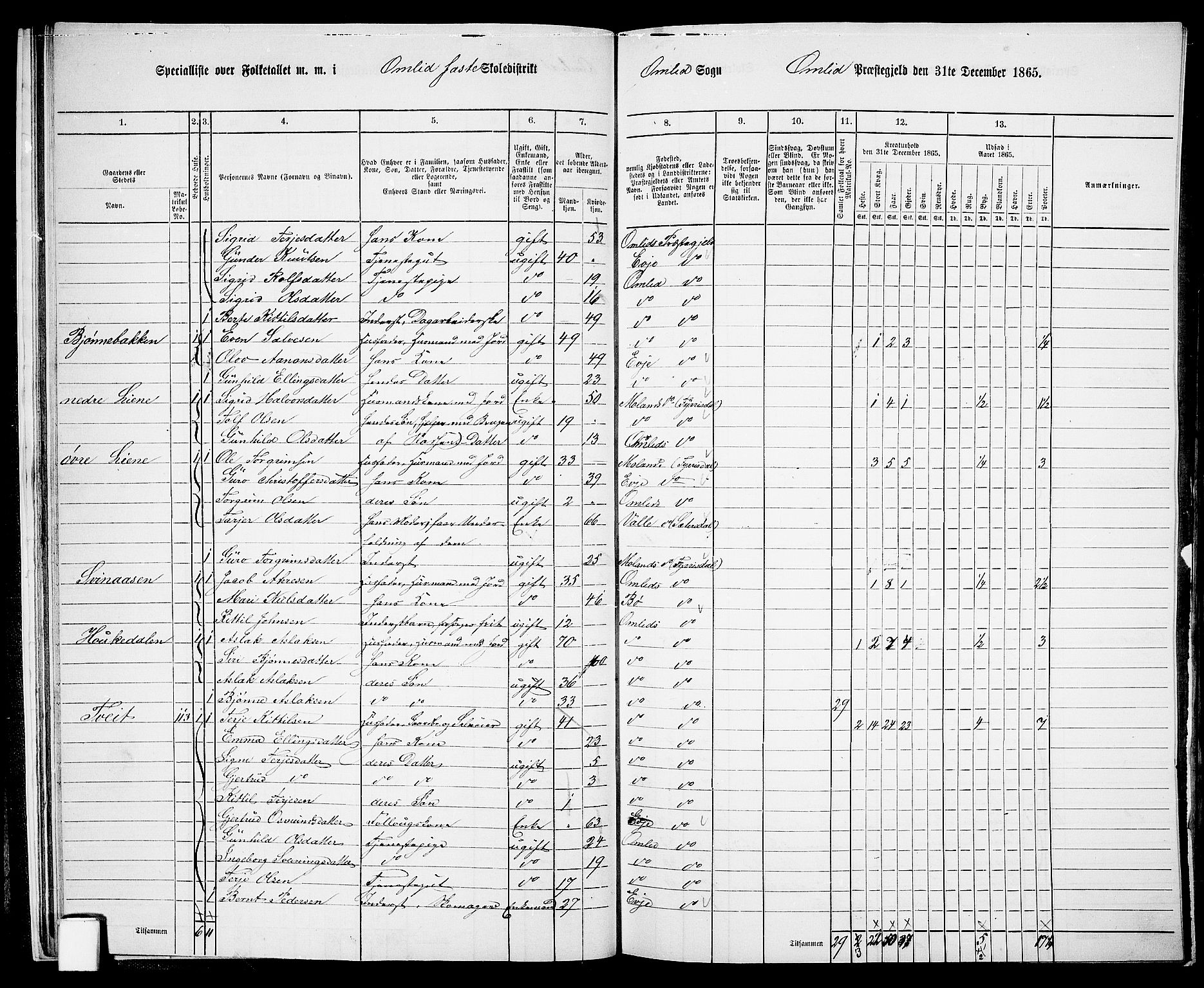 RA, 1865 census for Åmli, 1865, p. 20