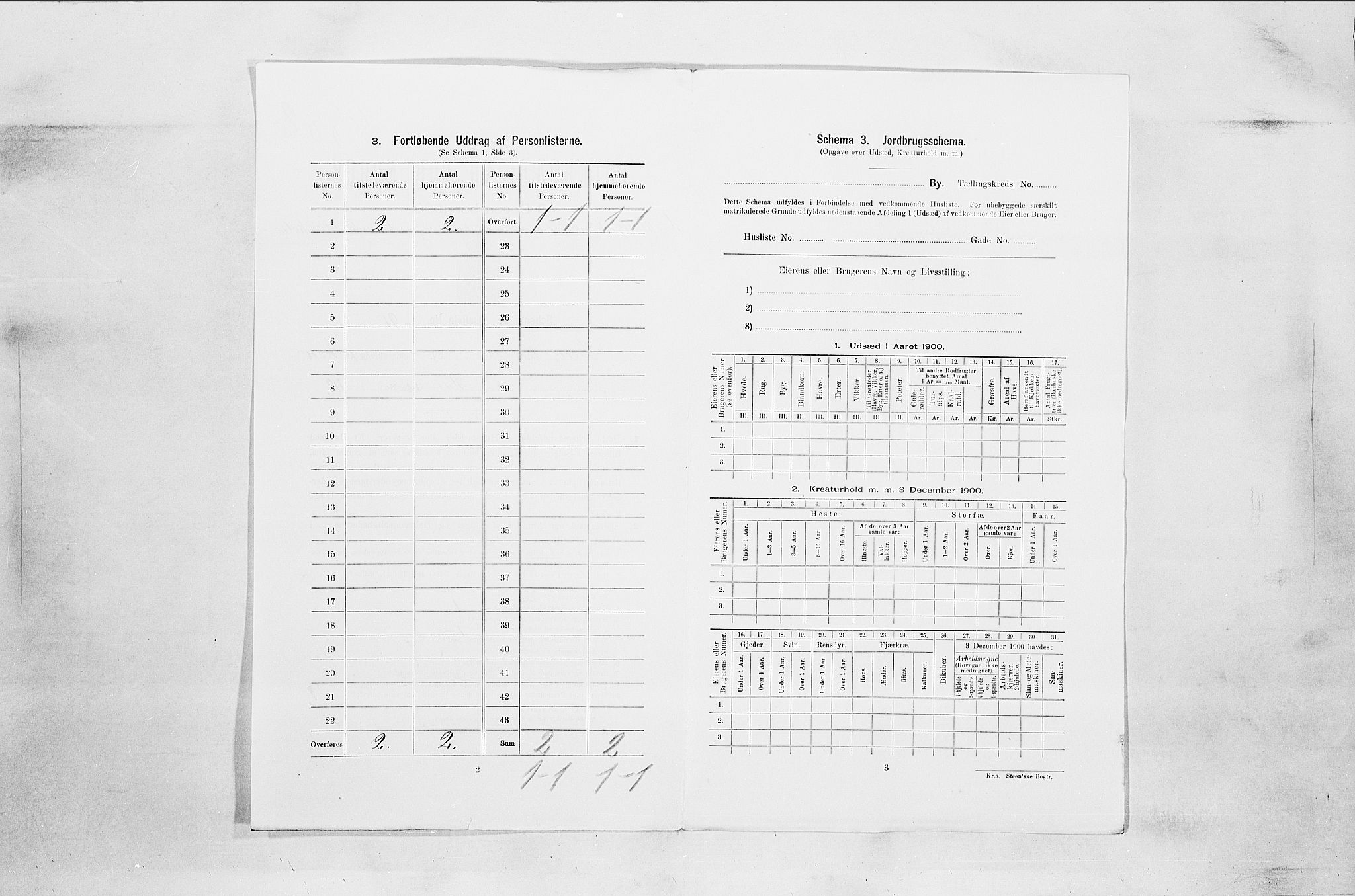 SAO, 1900 census for Son, 1900