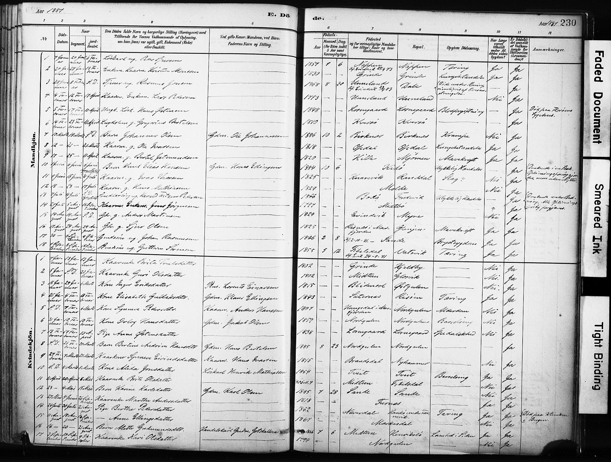 Gulen sokneprestembete, SAB/A-80201/H/Haa/Haab/L0001: Parish register (official) no. B 1, 1881-1905, p. 230