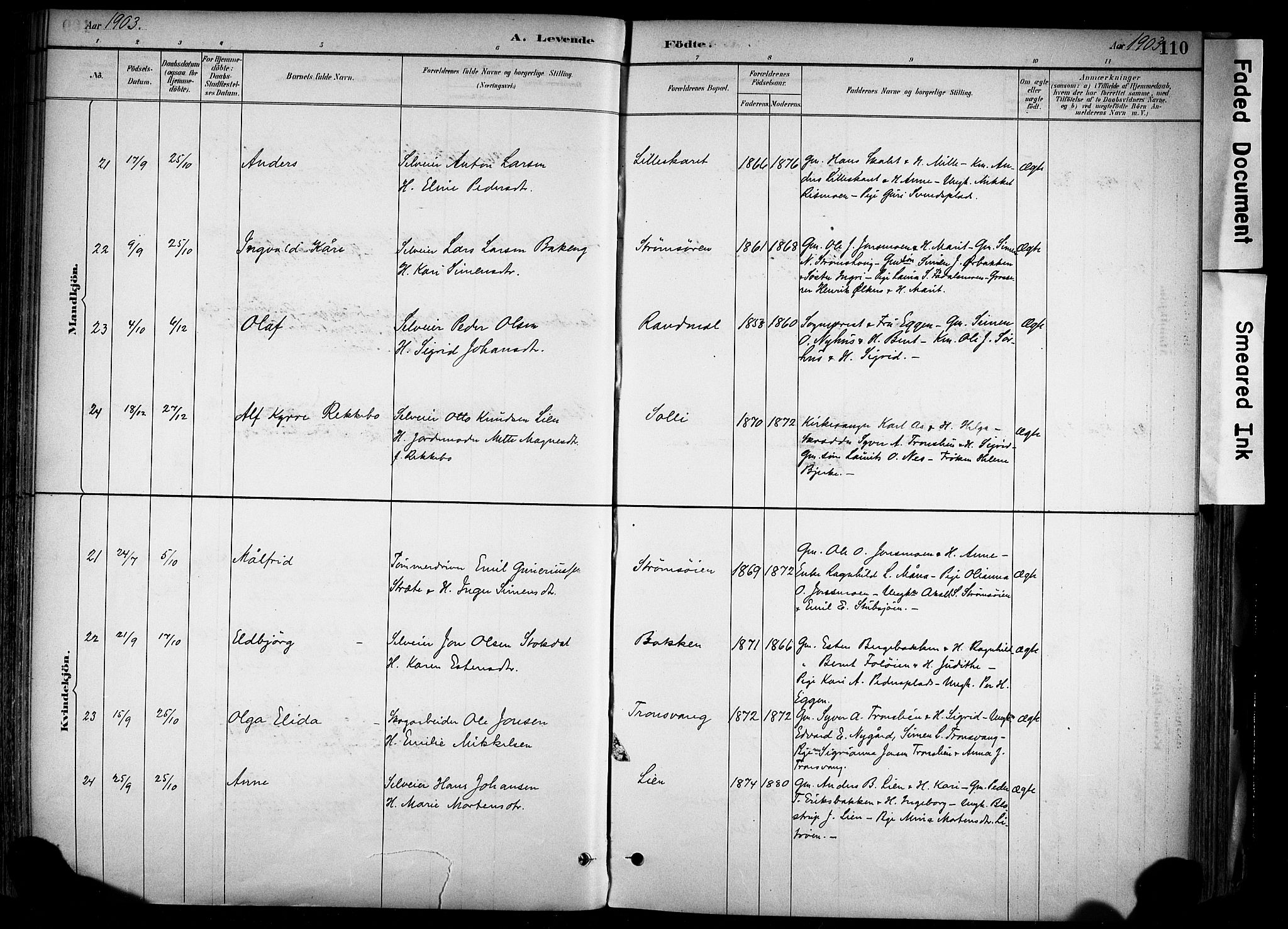 Alvdal prestekontor, AV/SAH-PREST-060/H/Ha/Haa/L0002: Parish register (official) no. 2, 1883-1906, p. 110