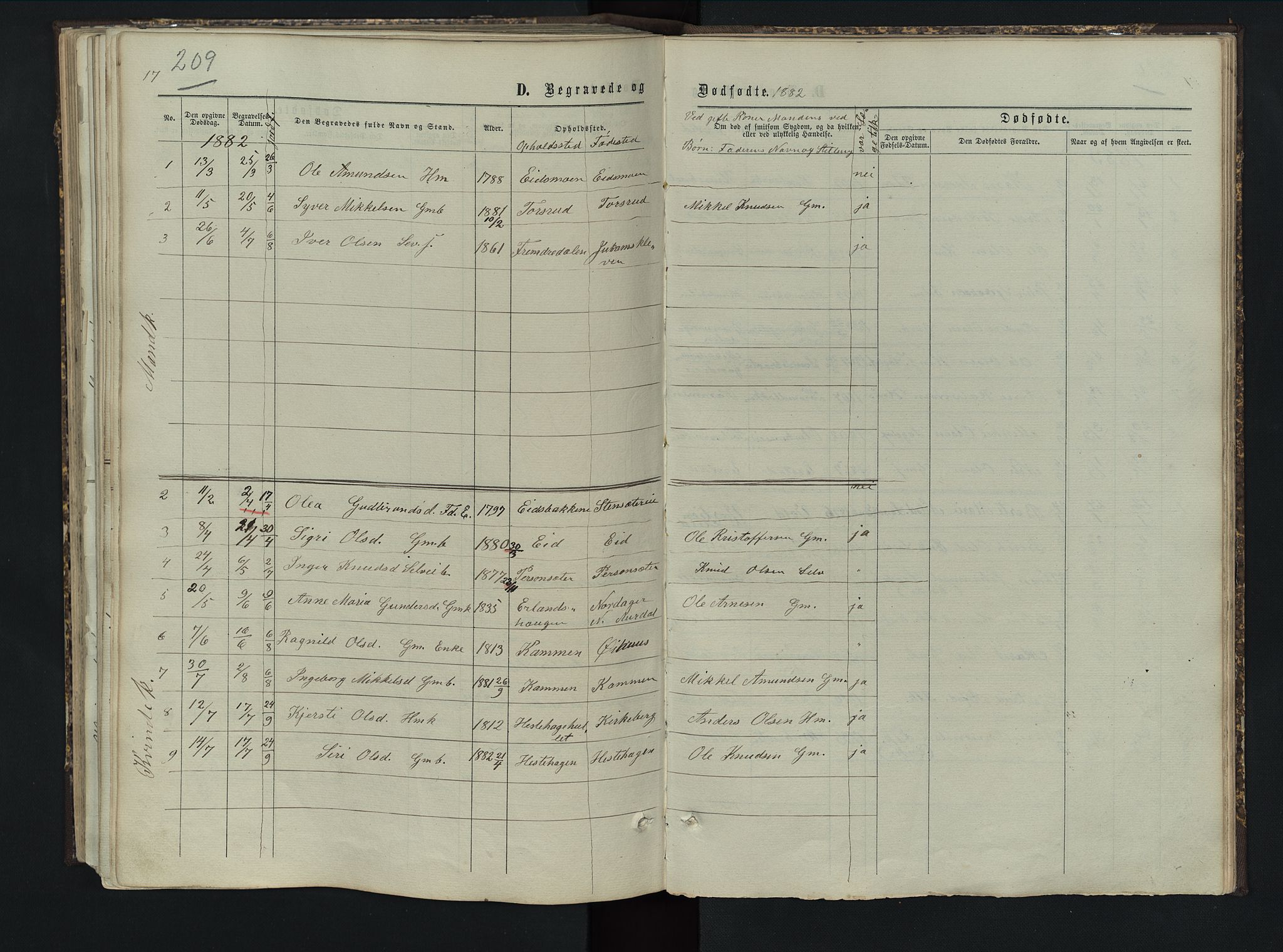 Sør-Aurdal prestekontor, AV/SAH-PREST-128/H/Ha/Hab/L0005: Parish register (copy) no. 5, 1866-1893, p. 209